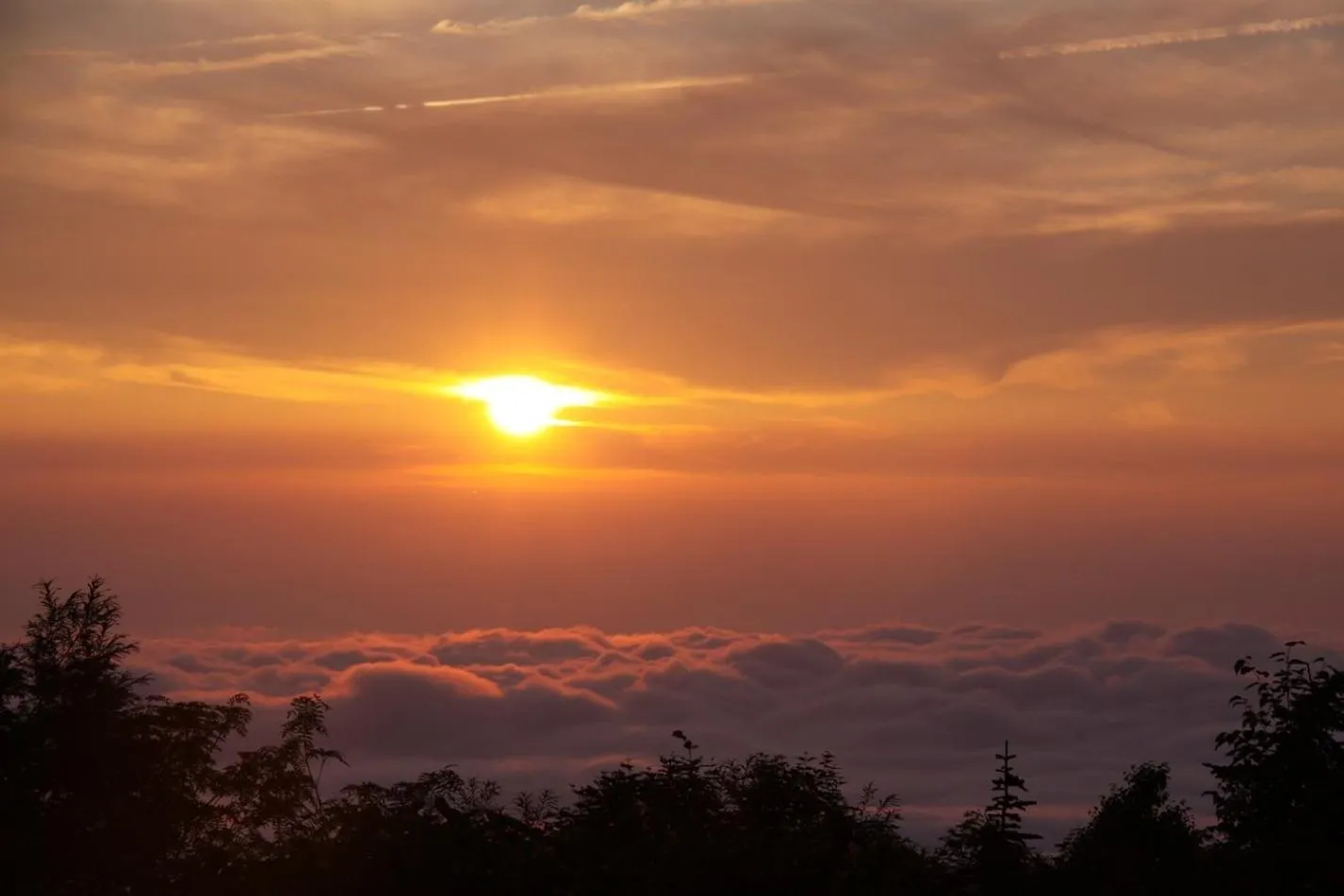 Area and facilities in Midagahara Hotel