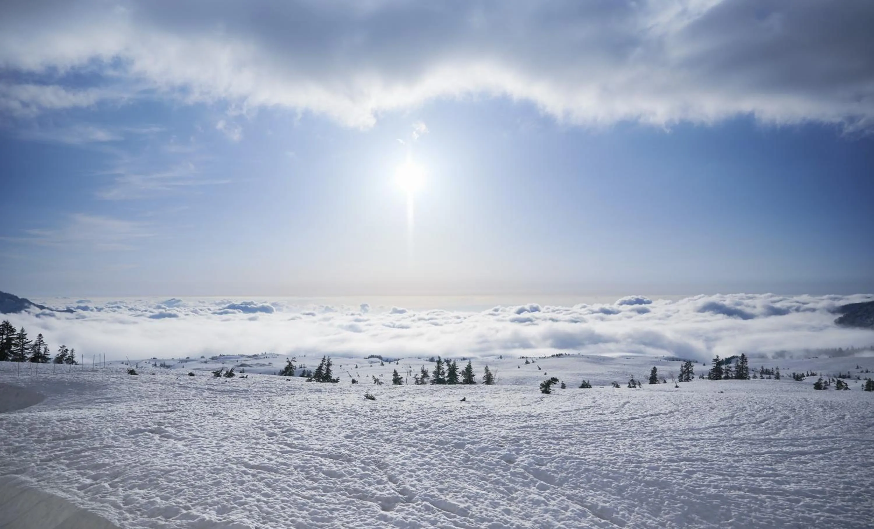 Natural landscape in Midagahara Hotel