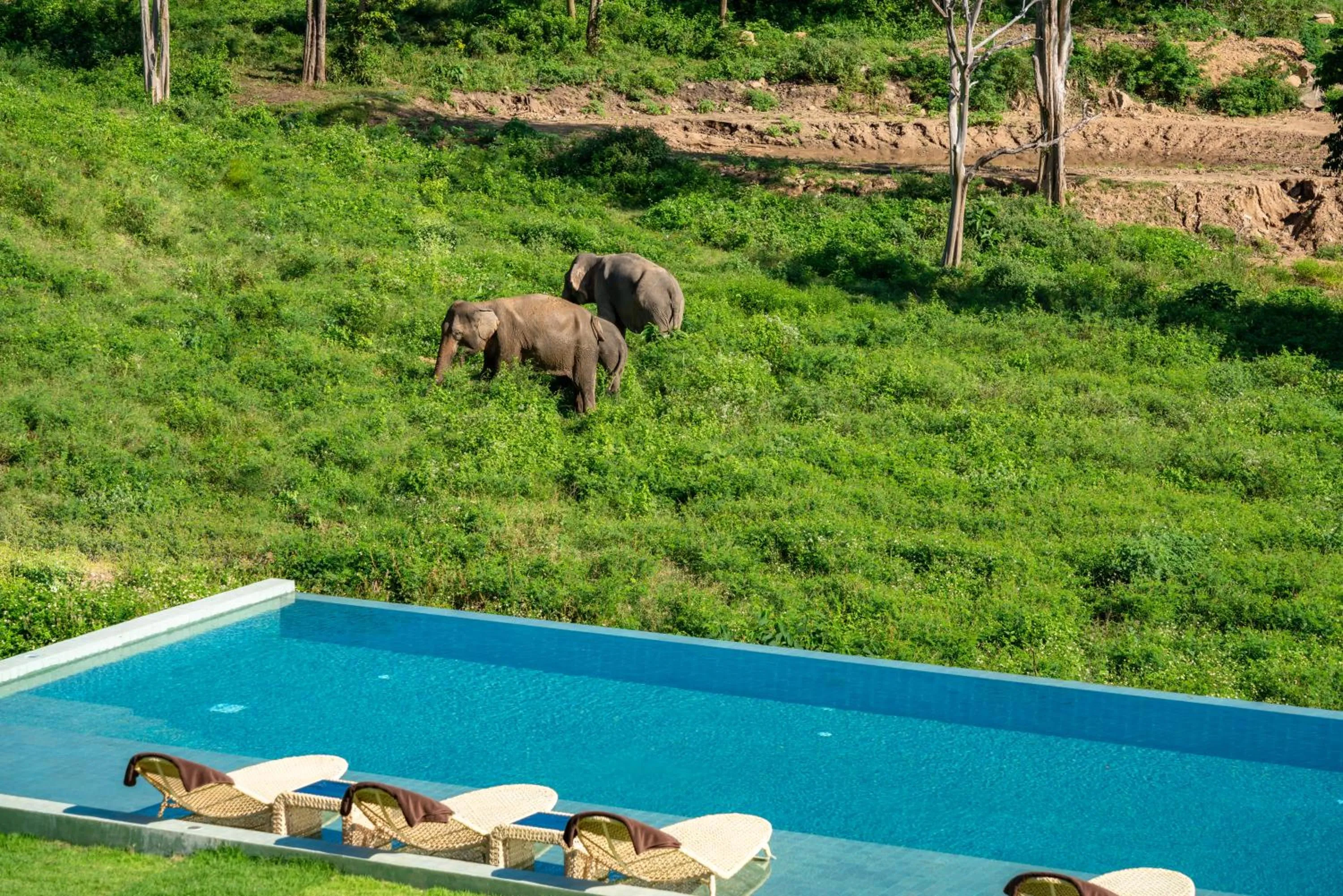 Wild Cottages Elephant Sanctuary Resort