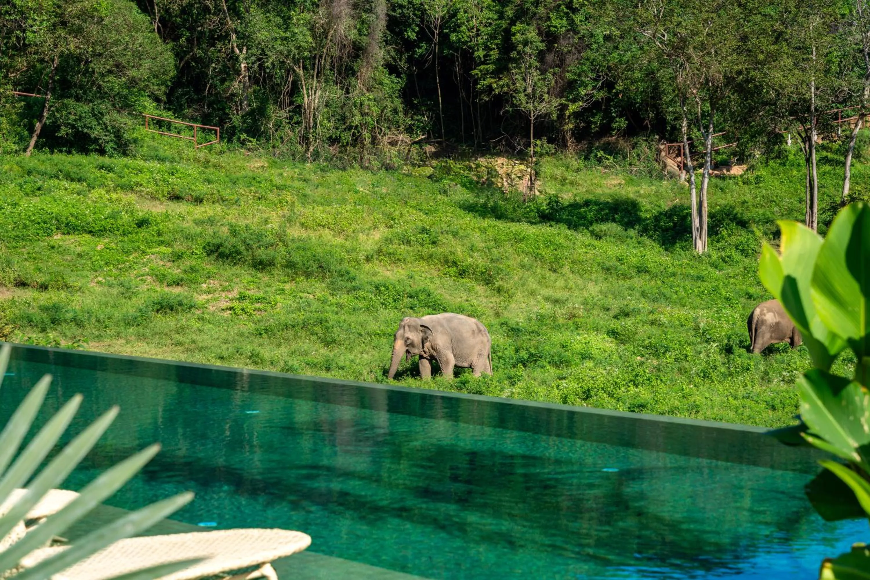 Wild Cottages Elephant Sanctuary Resort