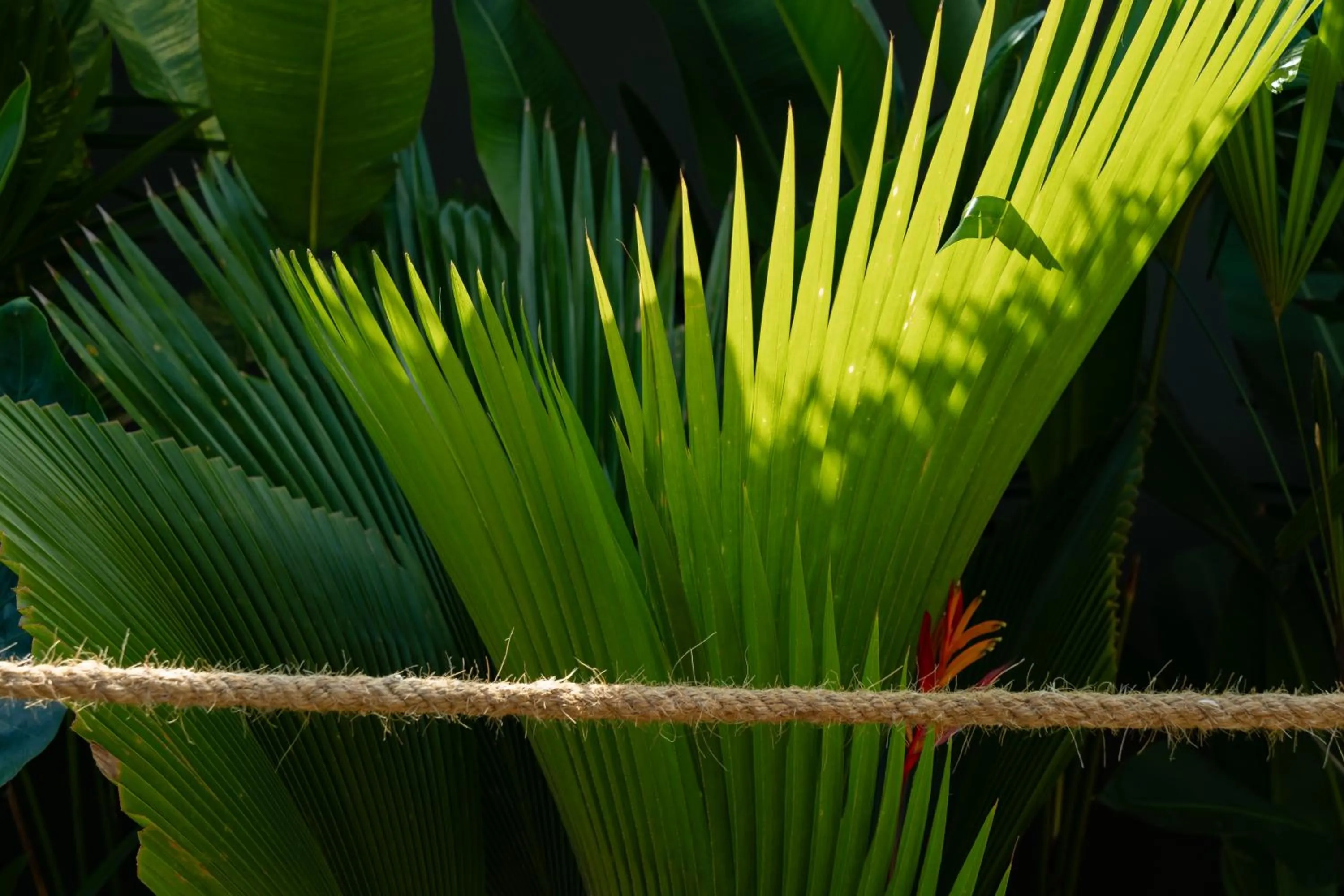 Wild Cottages Elephant Sanctuary Resort