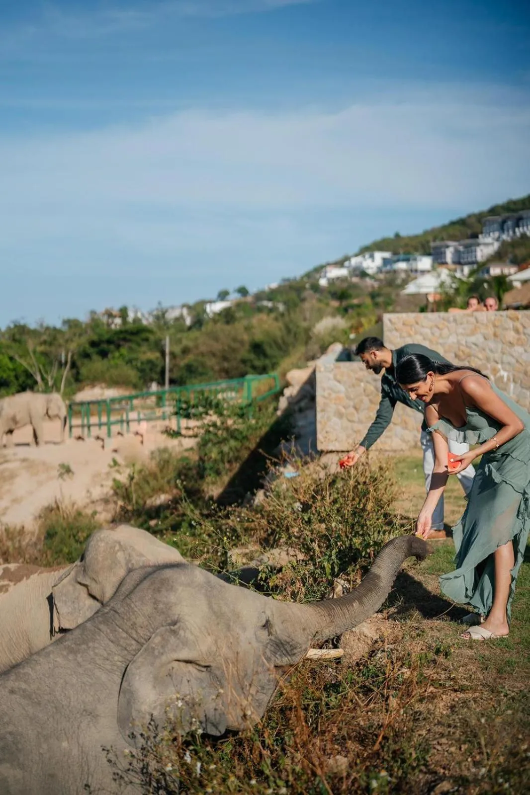 Wild Cottages Elephant Sanctuary Resort