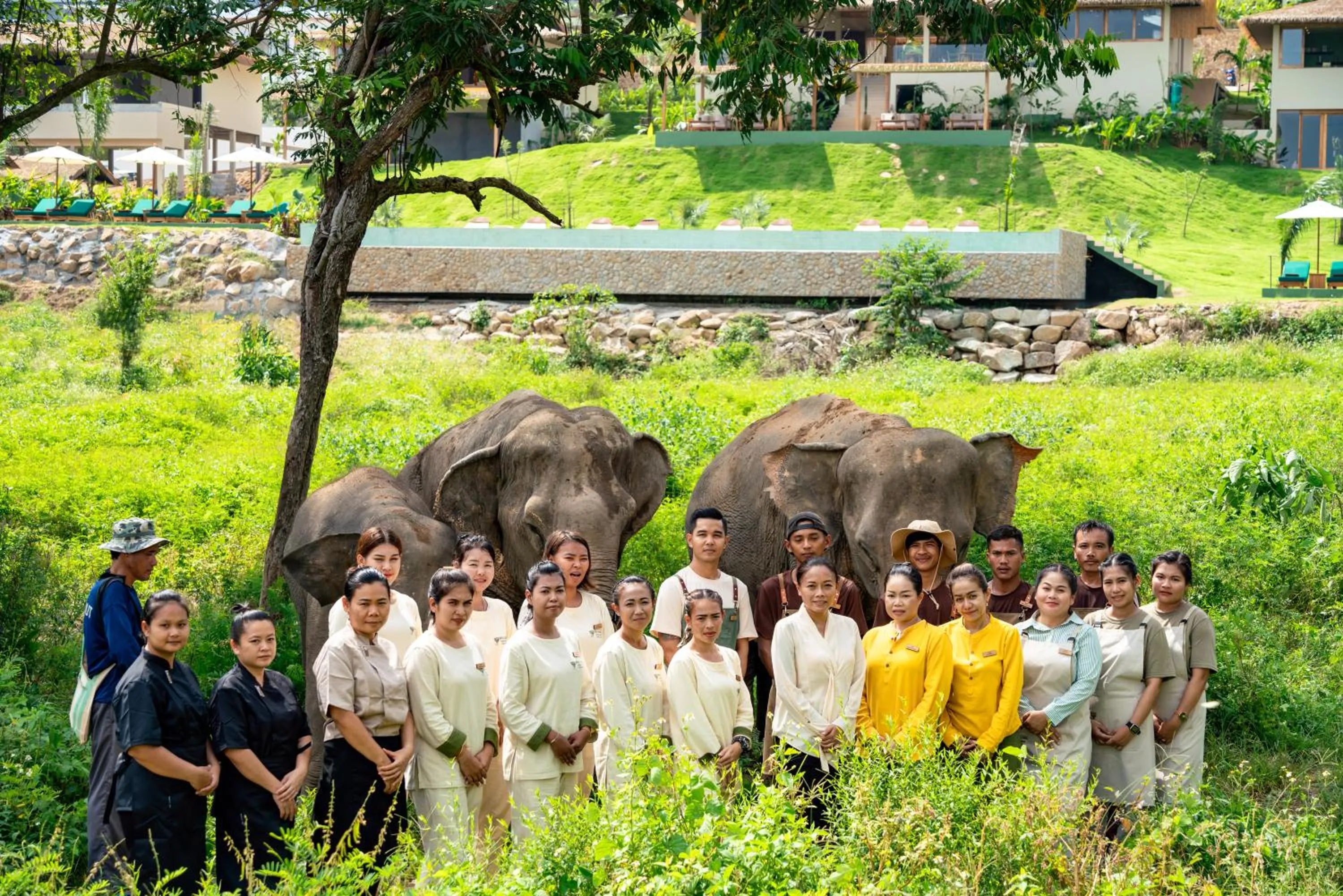 Wild Cottages Elephant Sanctuary Resort