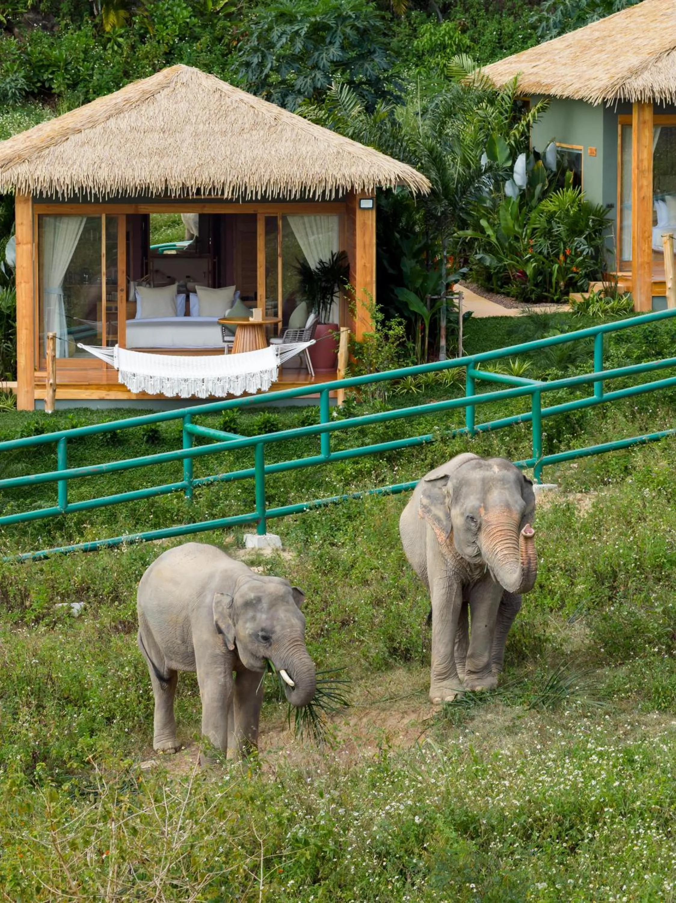 Wild Cottages Elephant Sanctuary Resort
