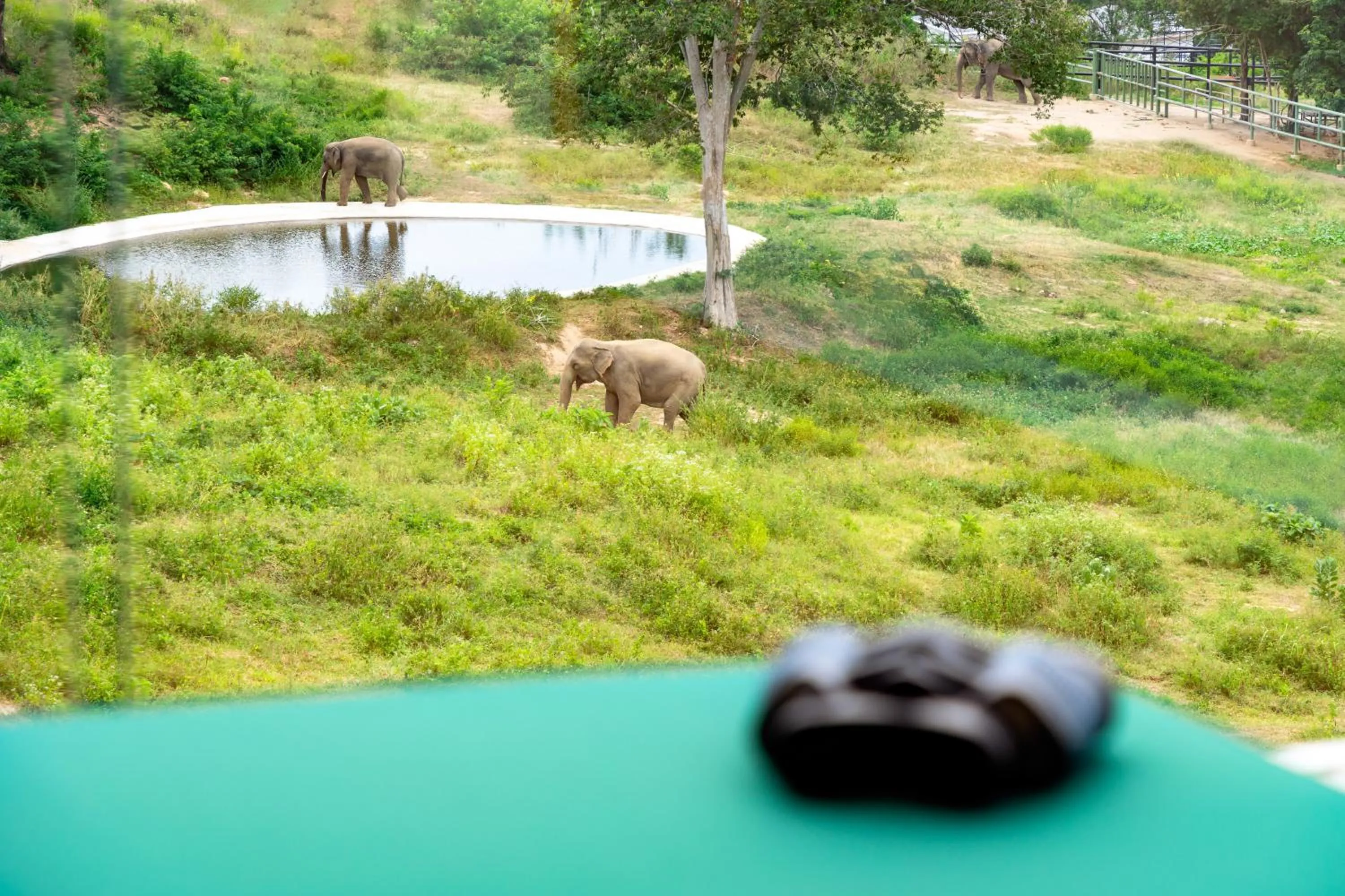 Wild Cottages Elephant Sanctuary Resort