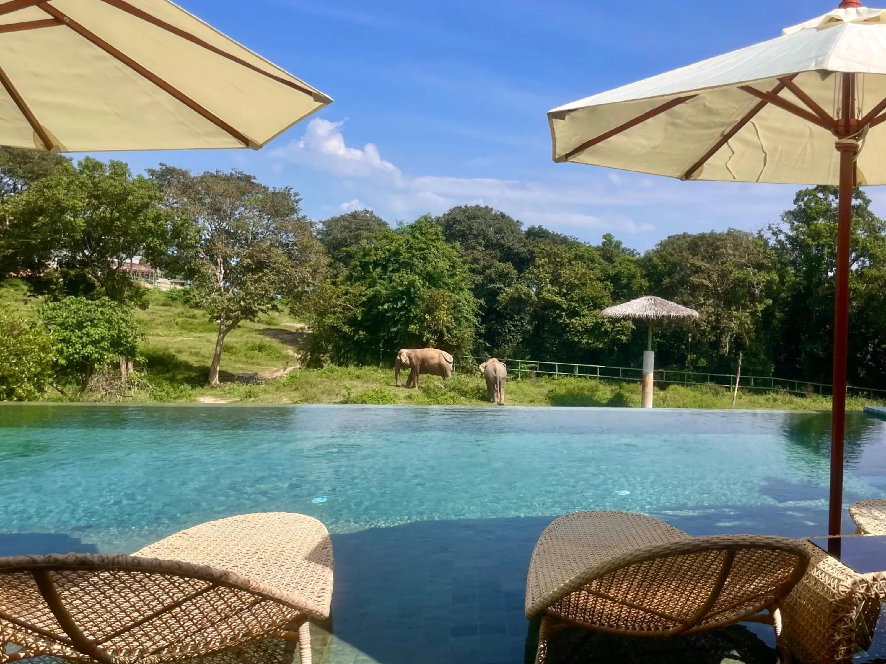 Wild Cottages Elephant Sanctuary Resort