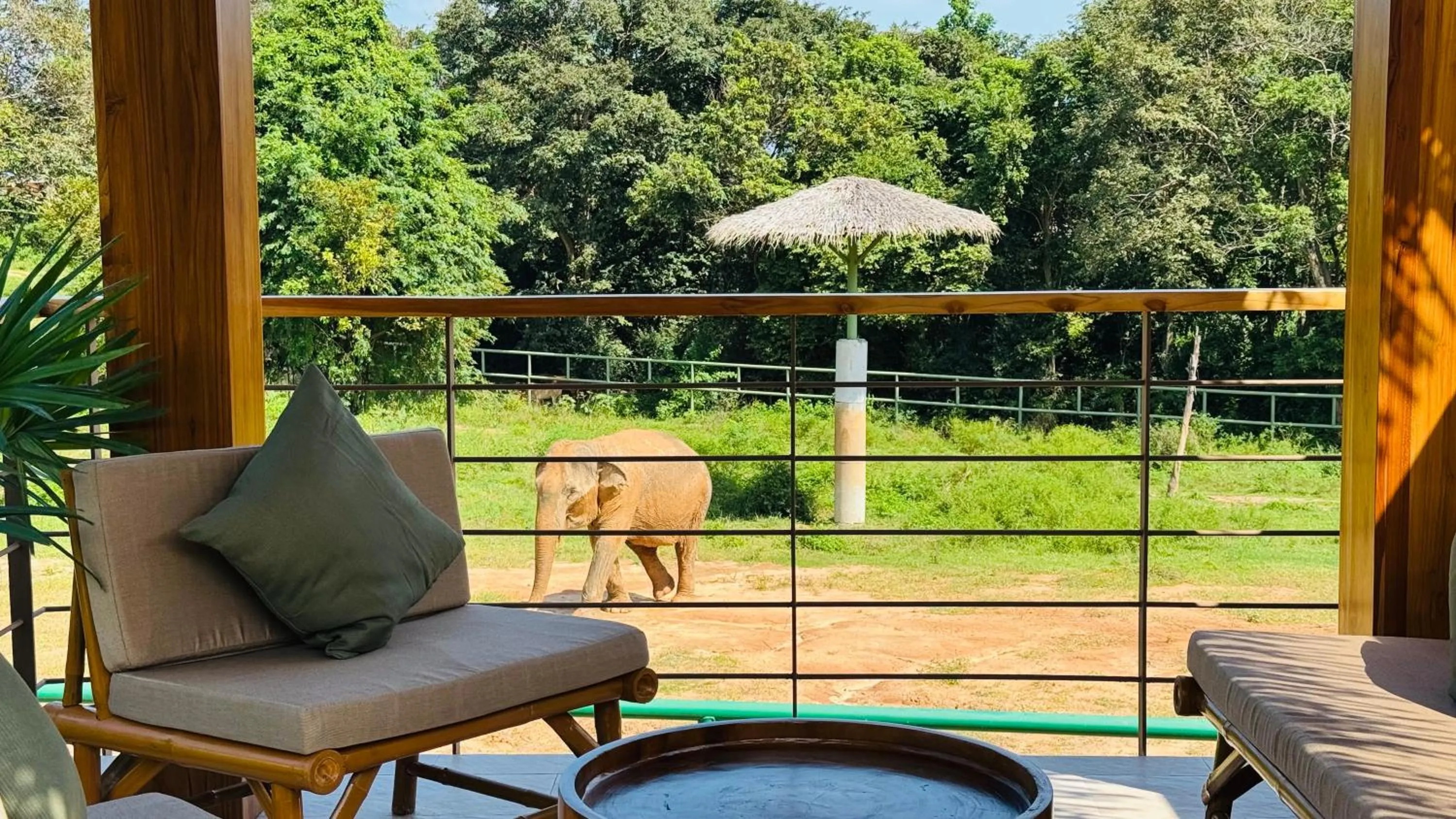 Wild Cottages Elephant Sanctuary Resort