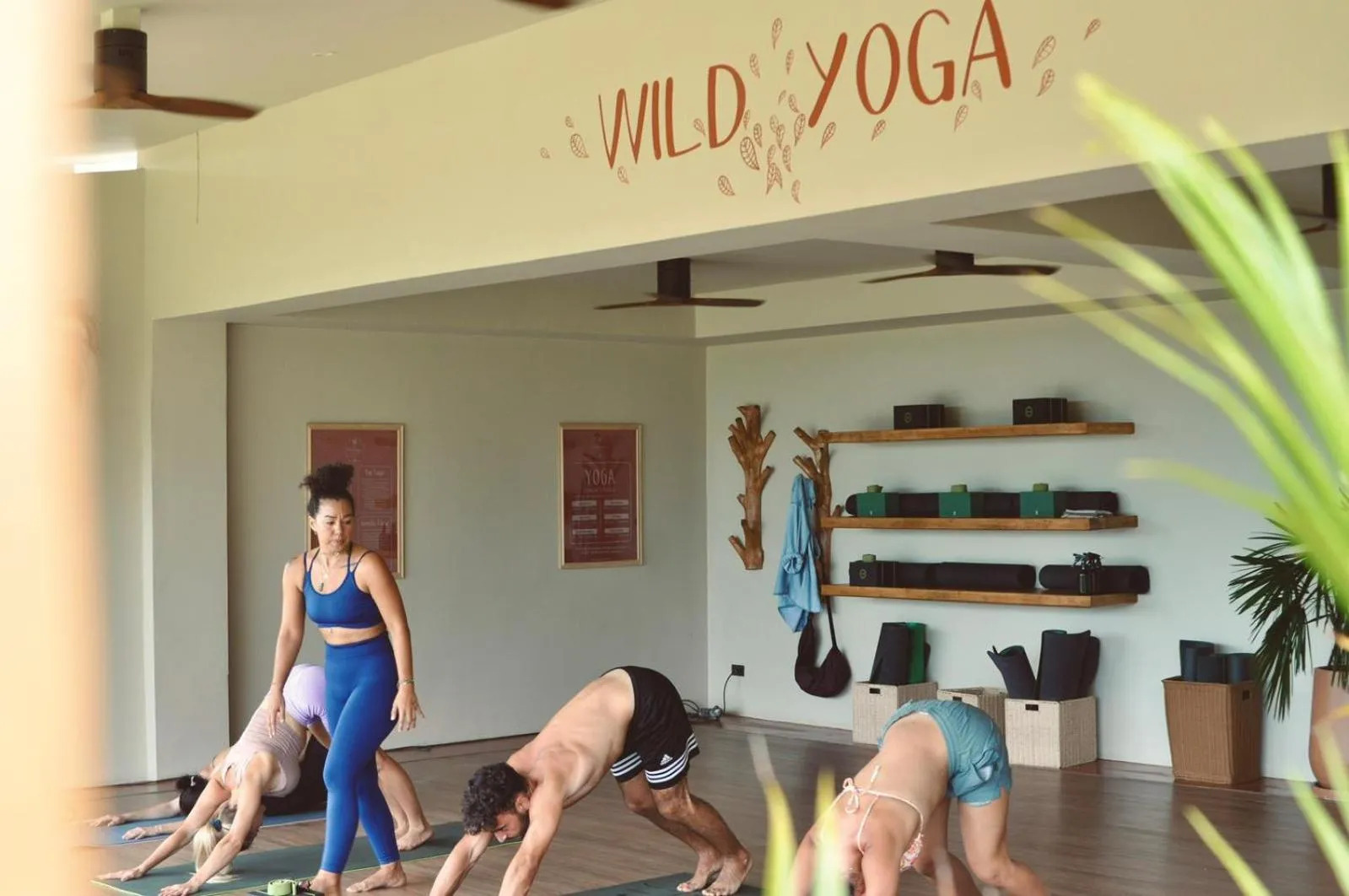 Wild Cottages Elephant Sanctuary Resort