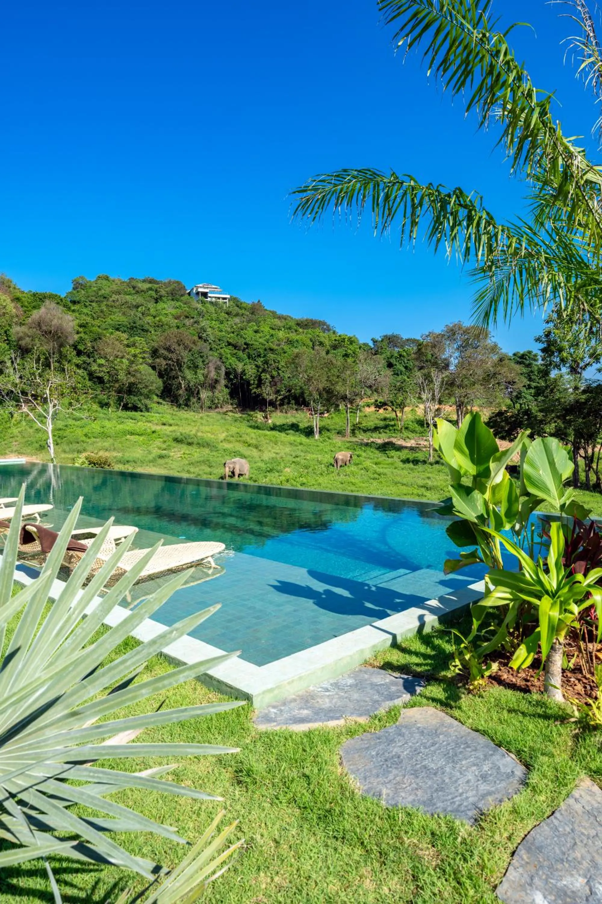 Wild Cottages Elephant Sanctuary Resort