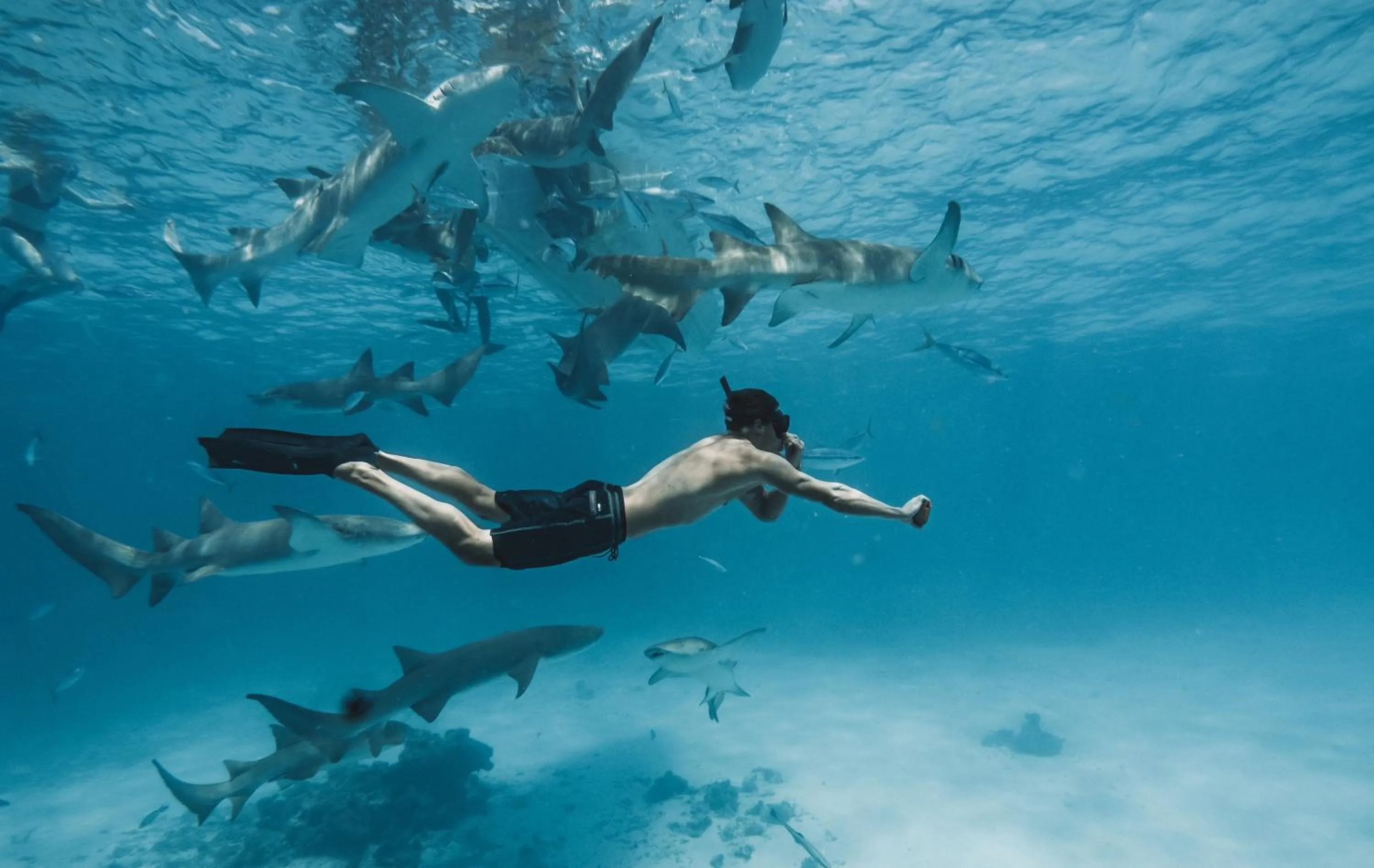 Snorkeling in The Zen Den