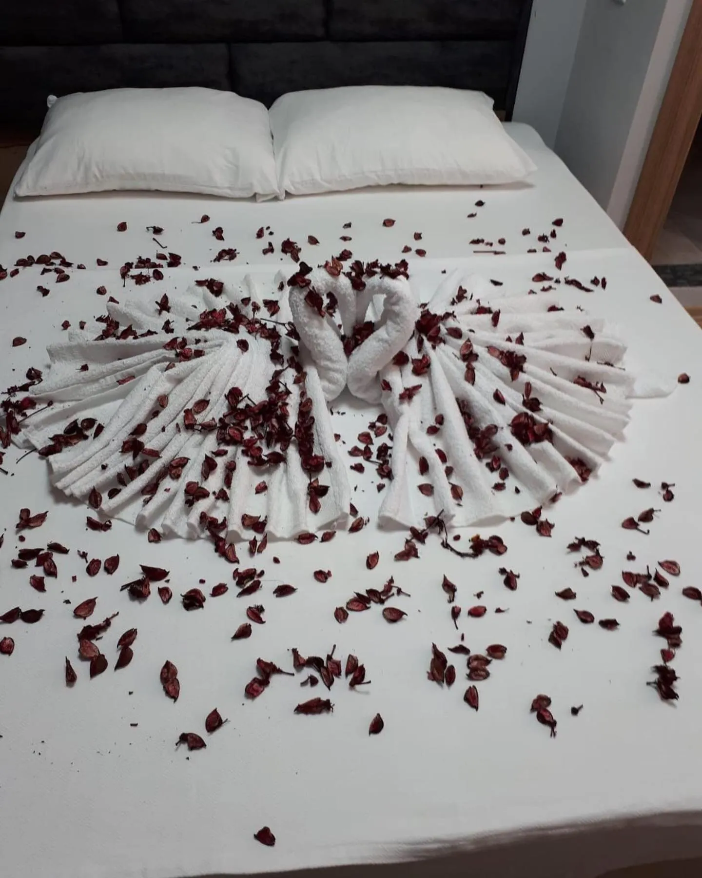 Pool view in esas pansiyon