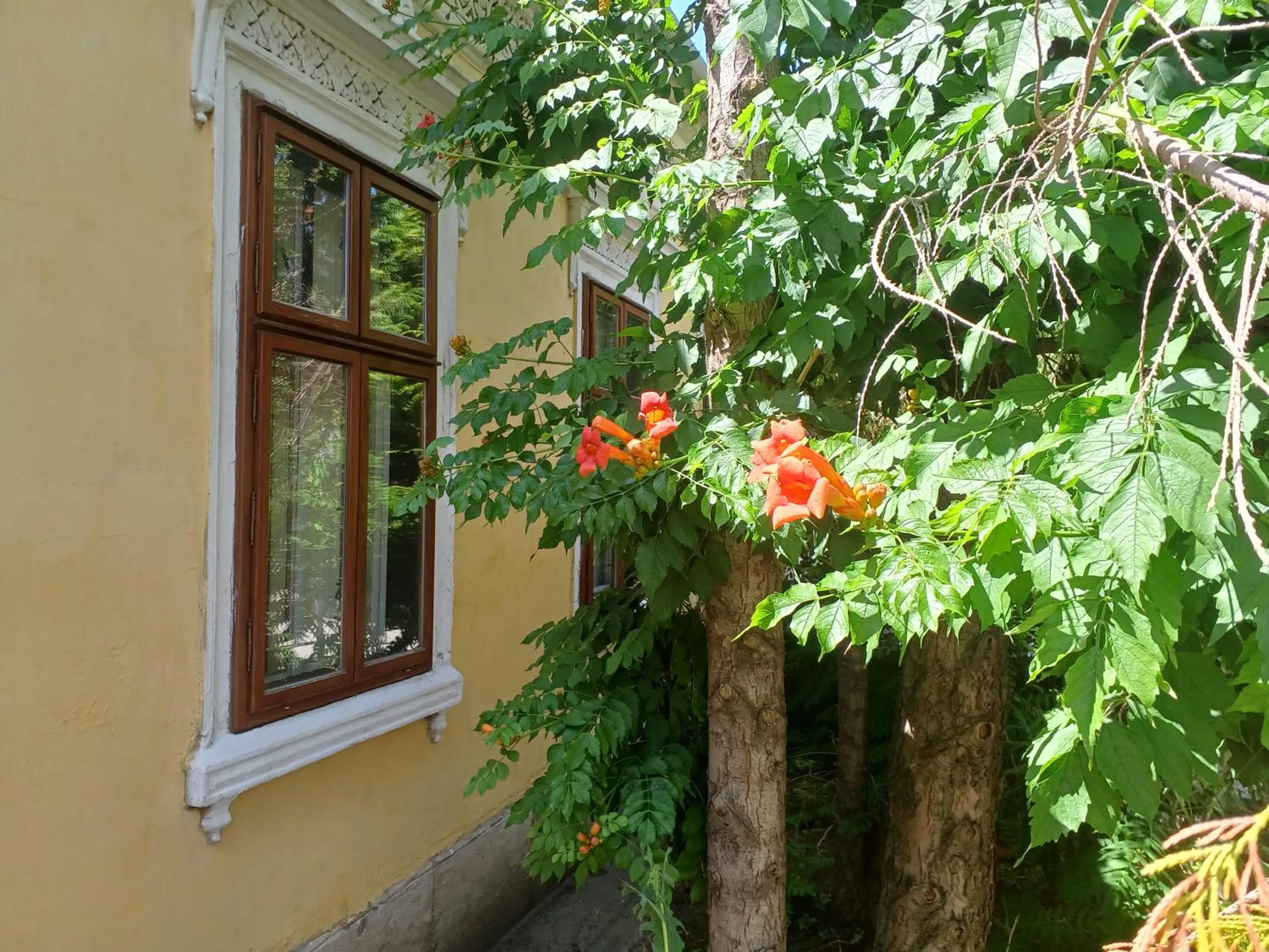 Property building in Blues Ryokan