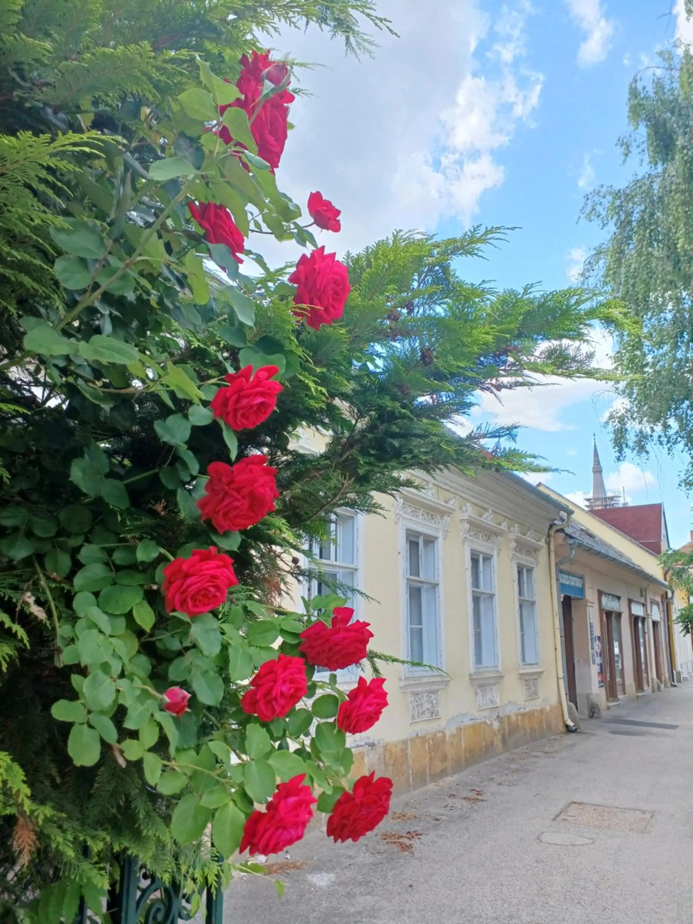 Neighbourhood in Blues Ryokan