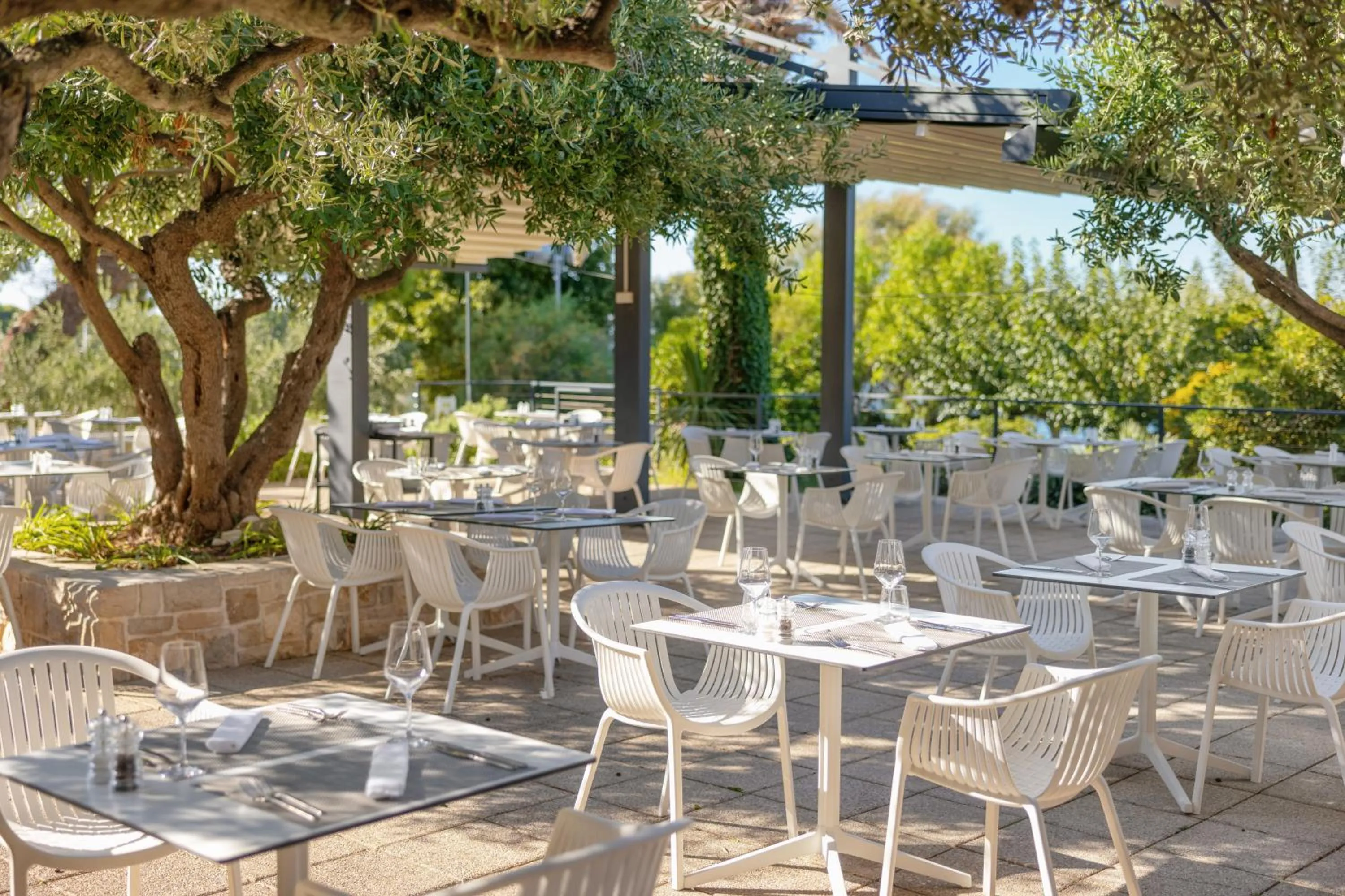 Restaurant/places to eat in Hotel Osam - Adults Only