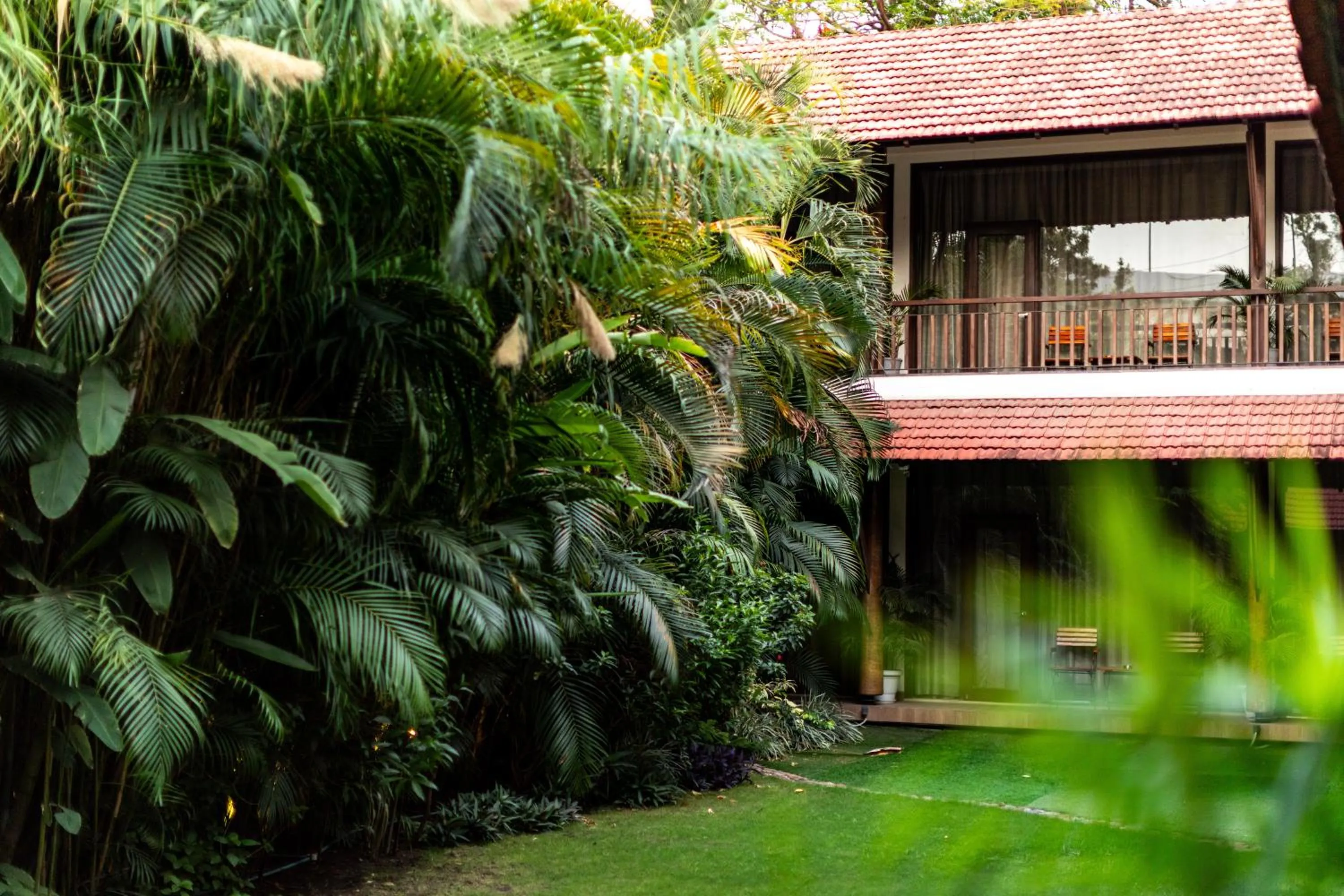 Natural landscape in Kwality's Motel Shiraz