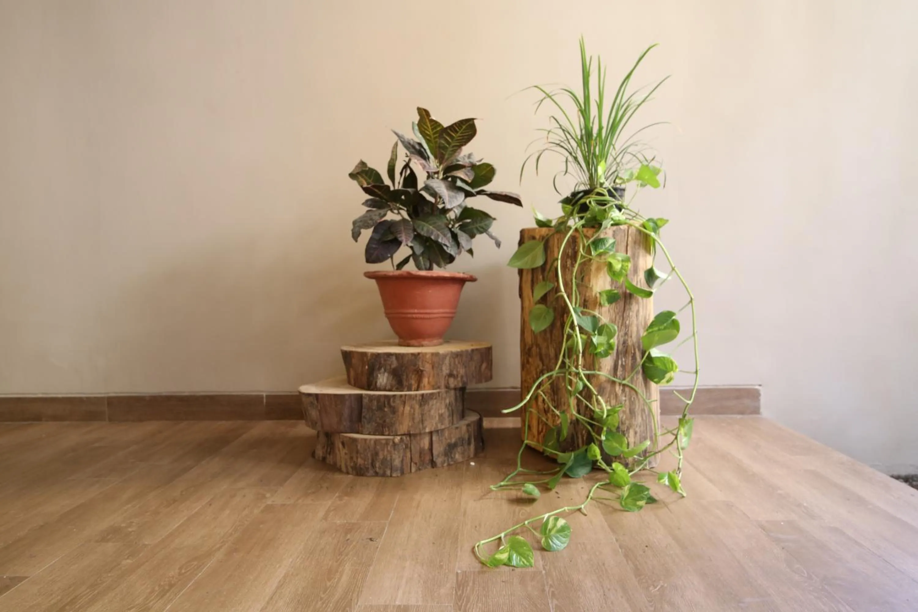 Property building in Kwality's Motel Shiraz