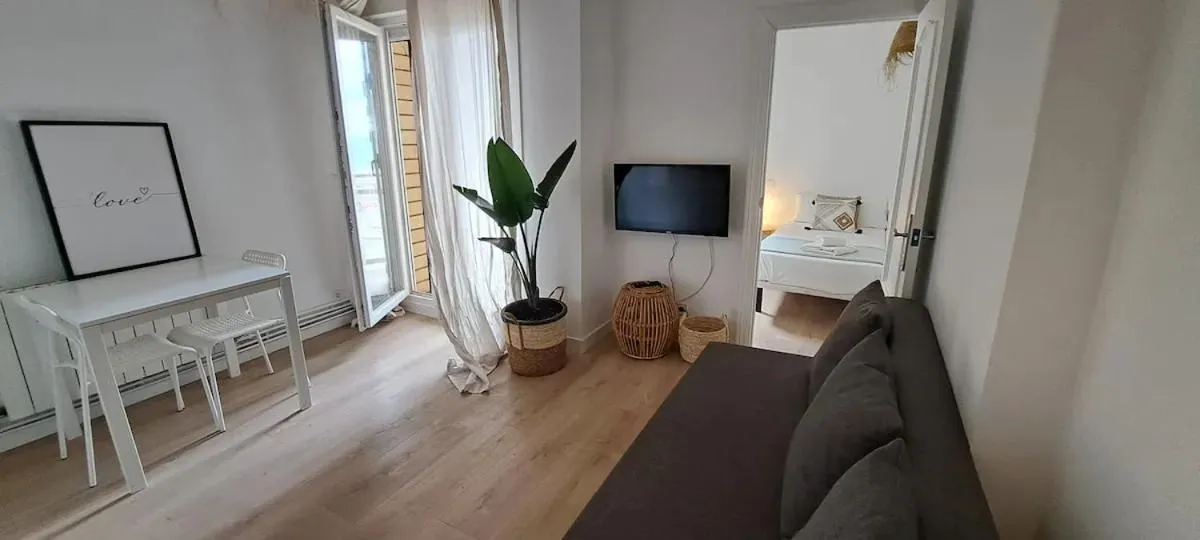 TV and multimedia in La Arena Apartamentos Zierbena