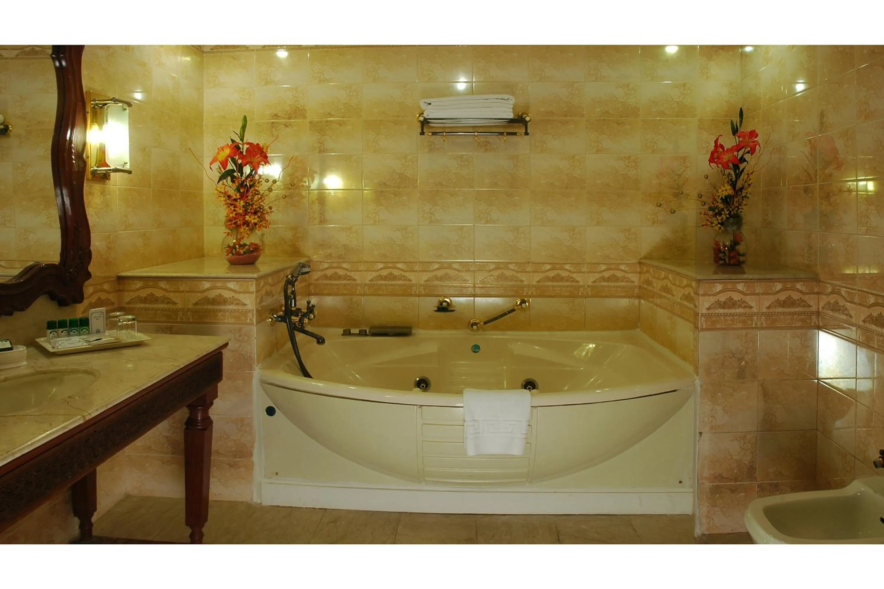 Bathroom in Noor-Us-Sabah Palace