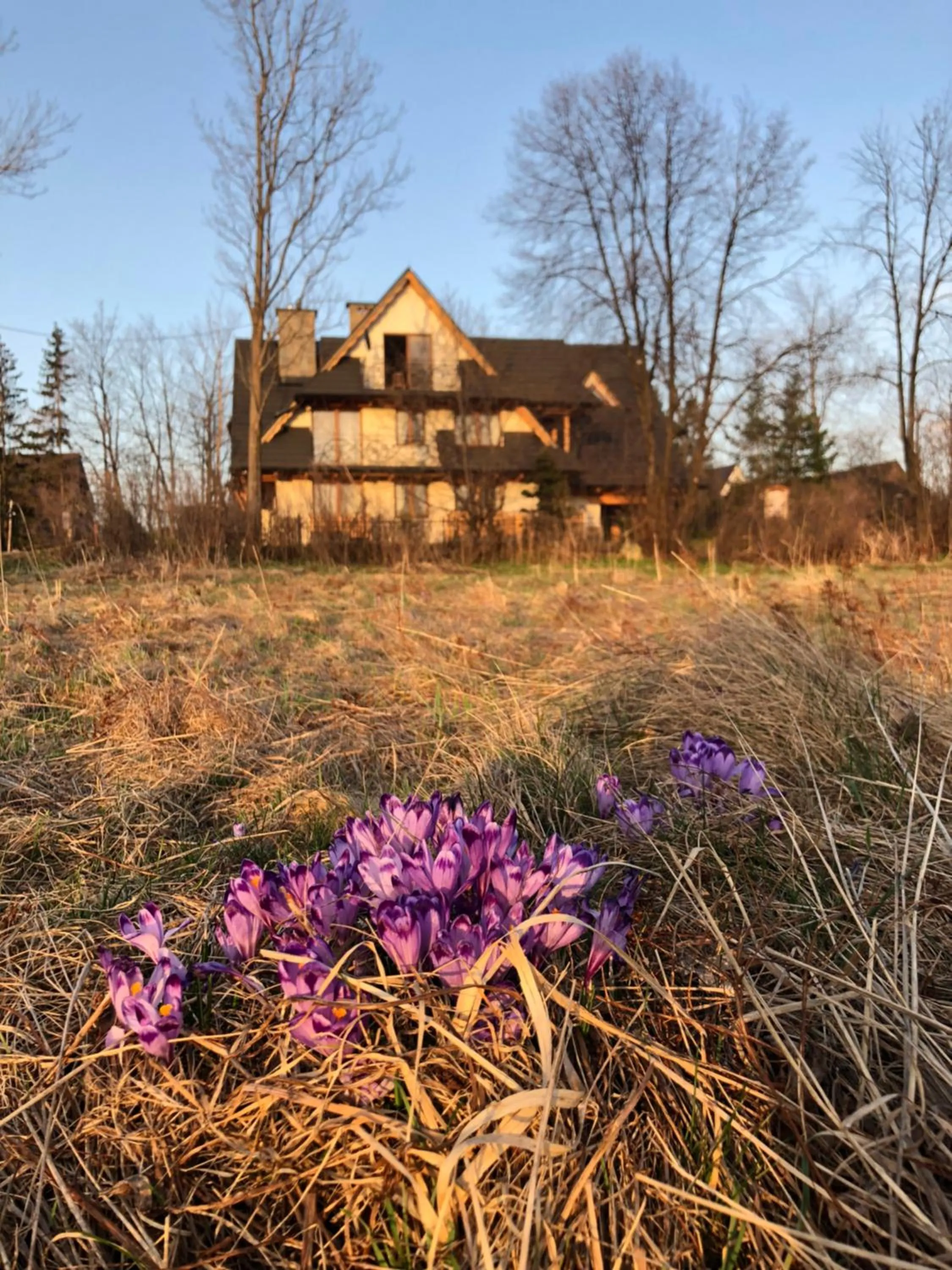 Garden in Willa Ryś