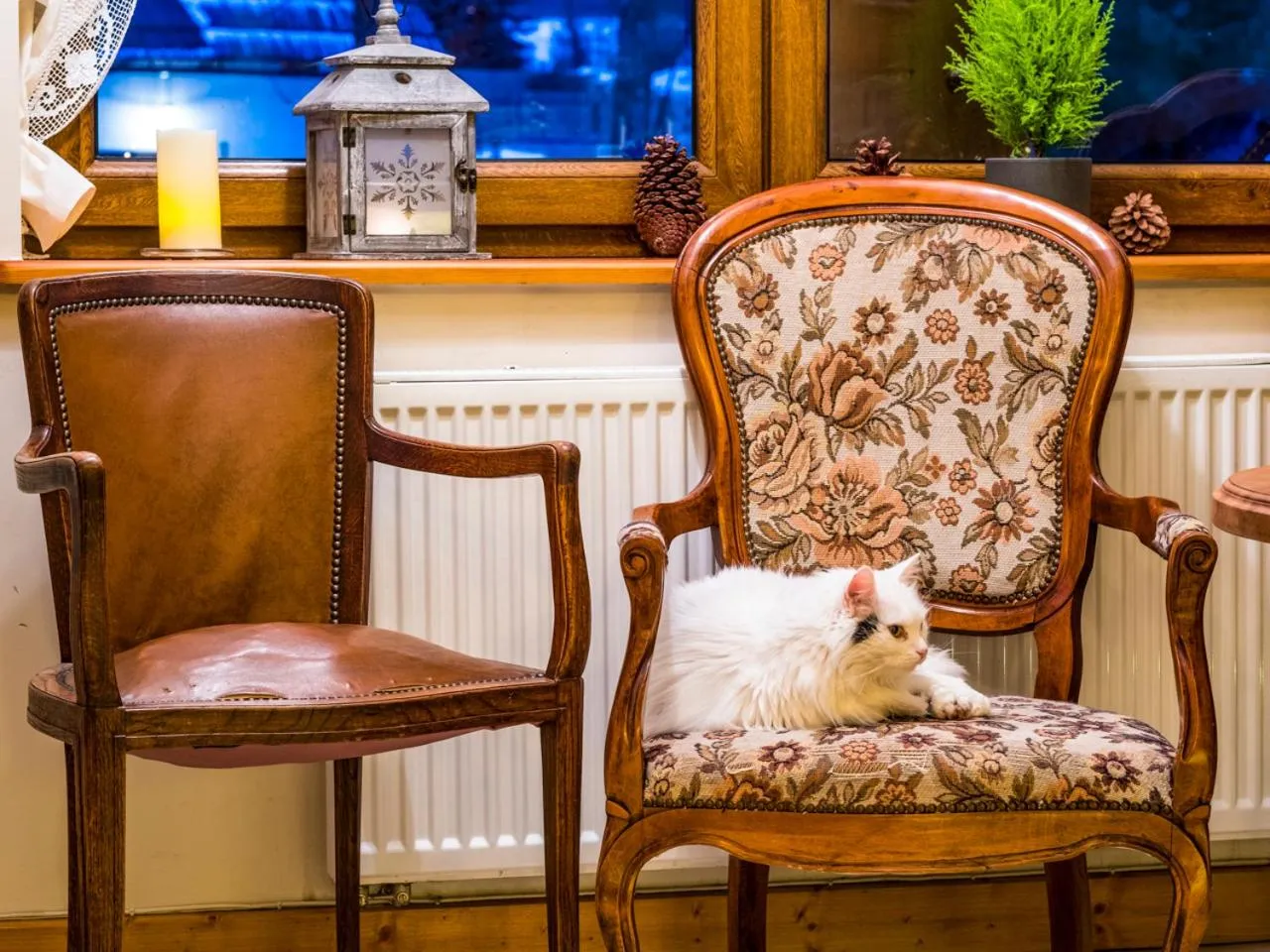 View (from property/room) in Willa Ryś