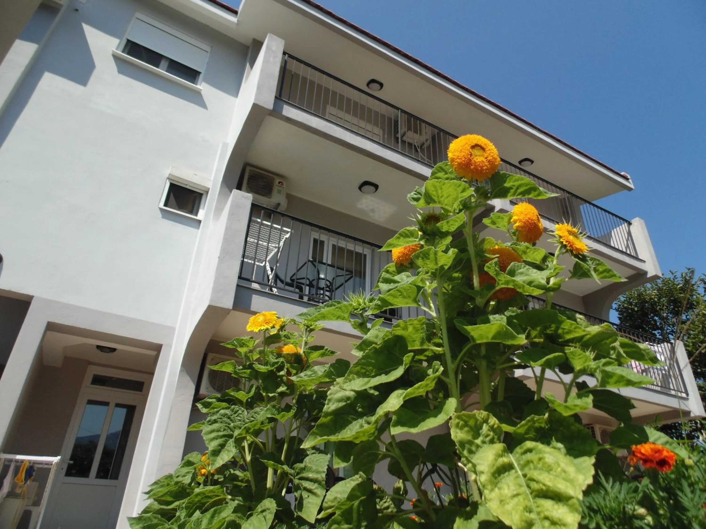 One-Bedroom Apartment in Apartments Macaso