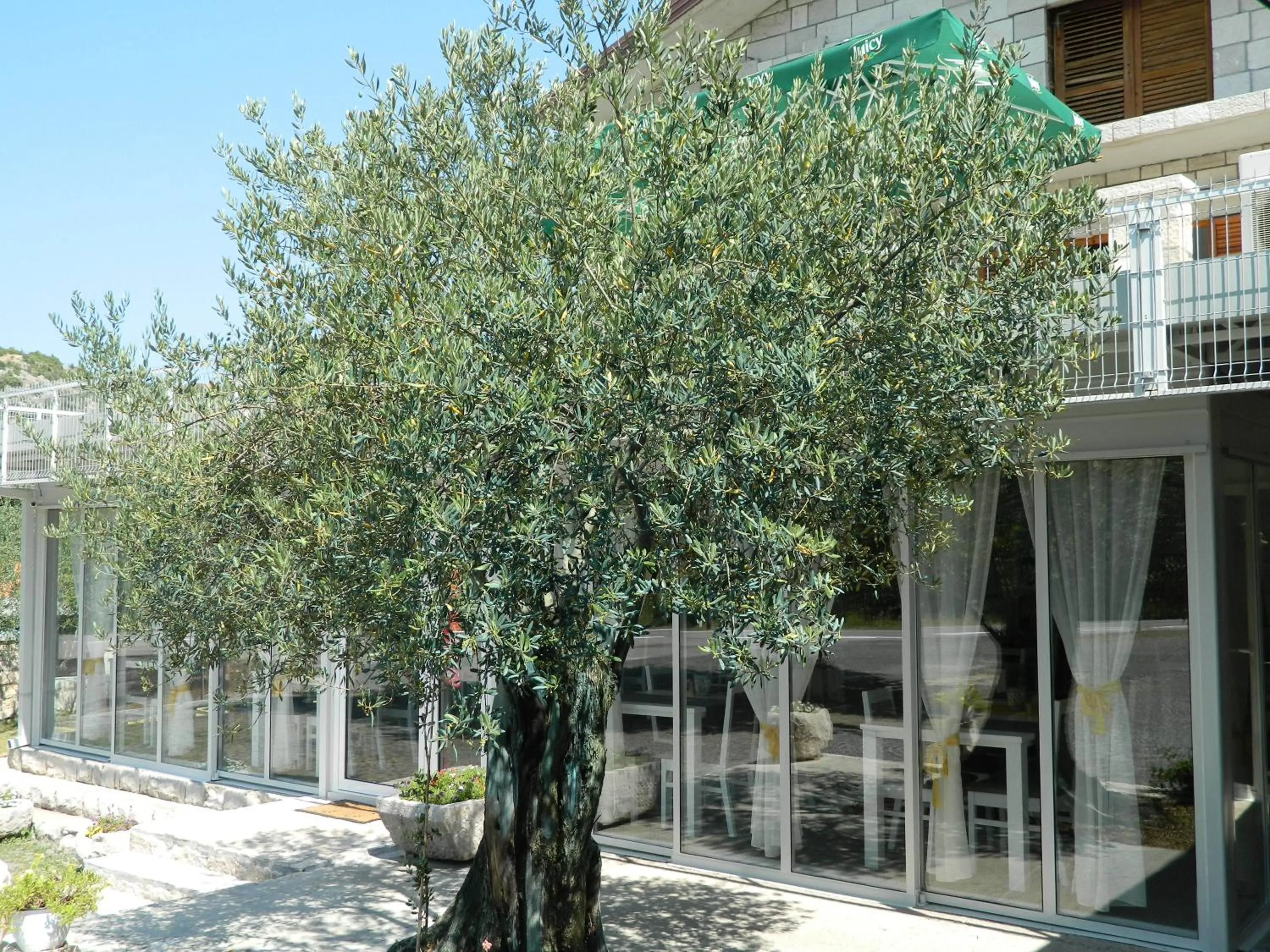 Natural landscape in Motel Jelčić