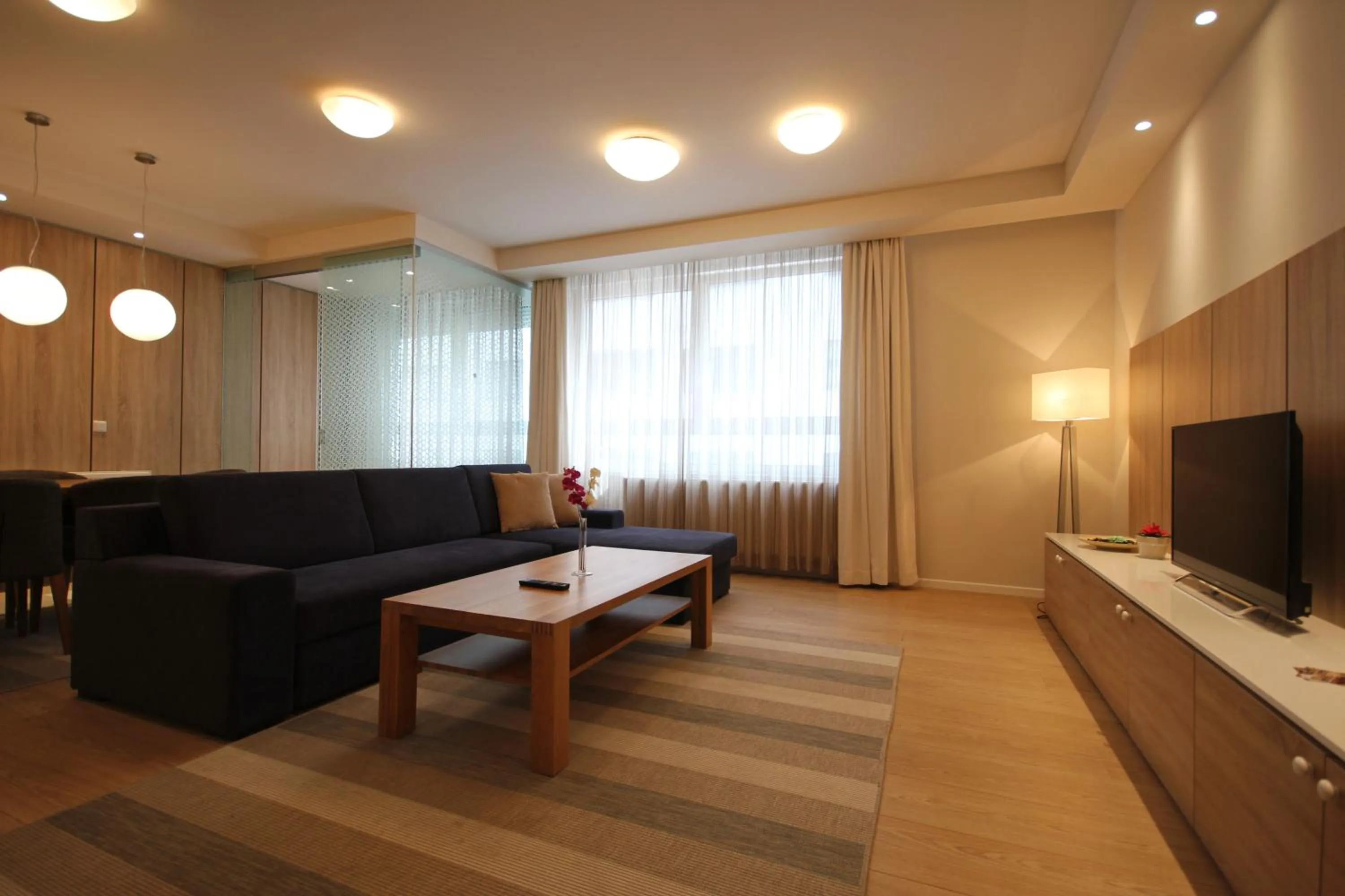 Living room in Sarajevo Daily Apartments