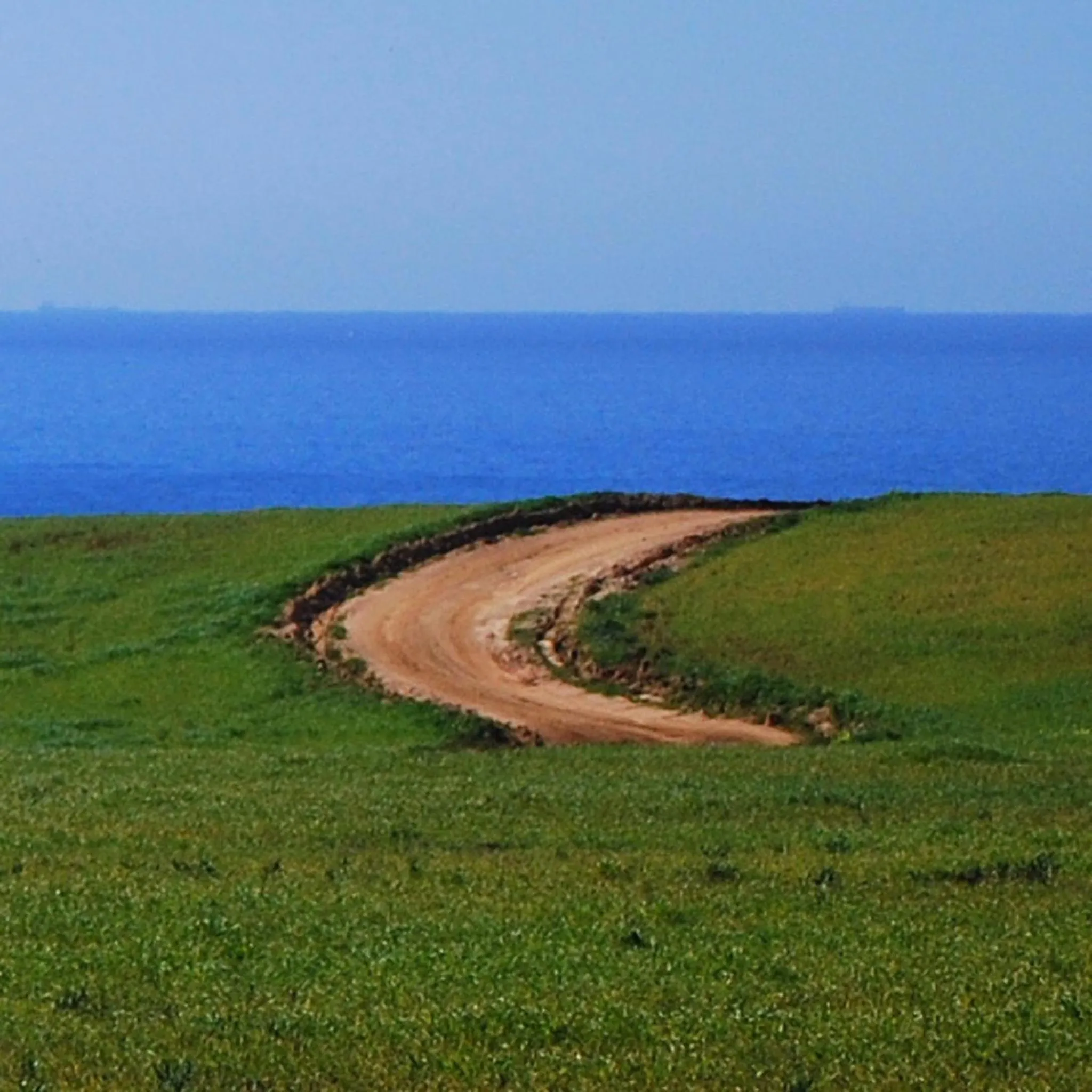 Activities in Pure Flor de Esteva