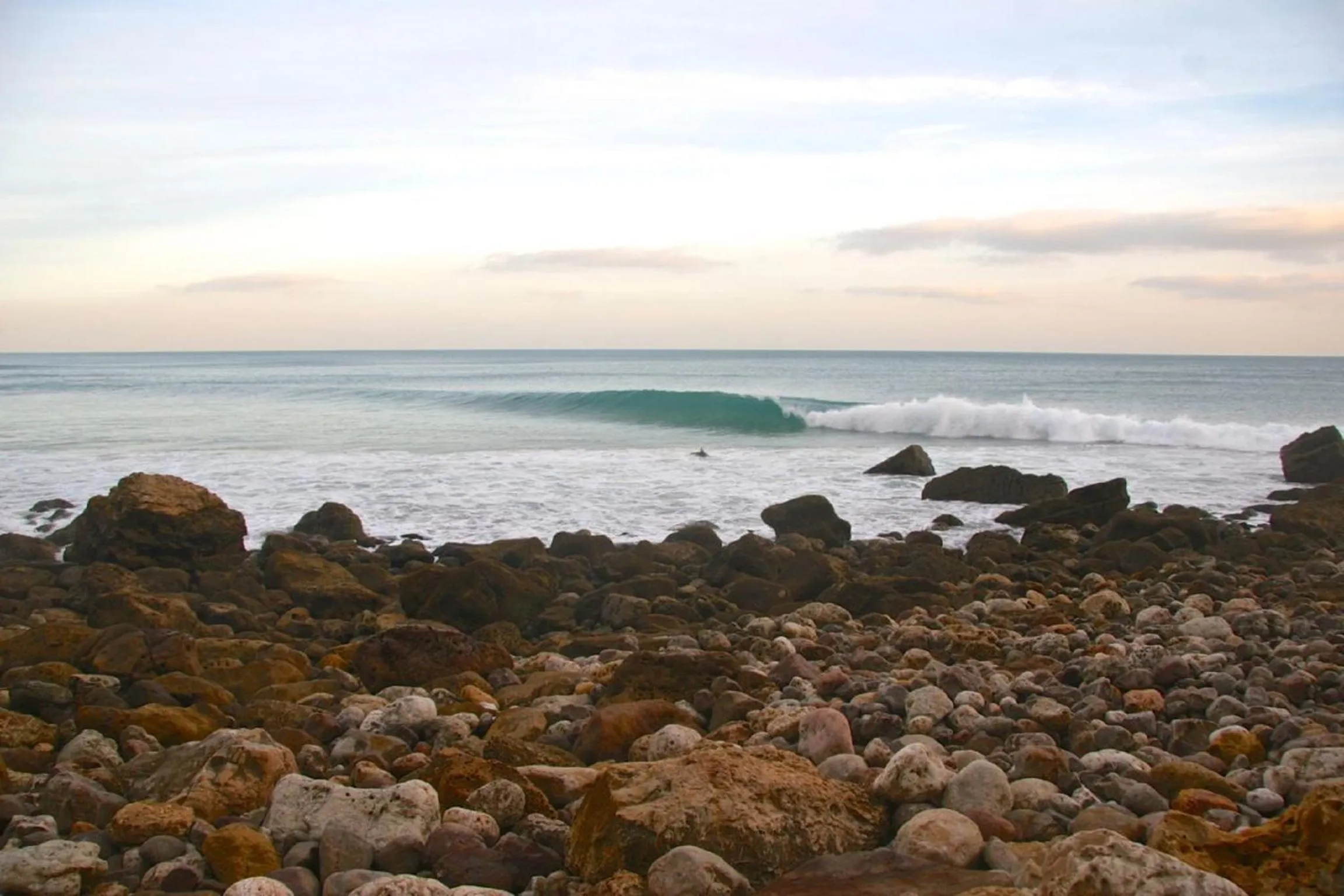 Area and facilities in Pure Flor de Esteva