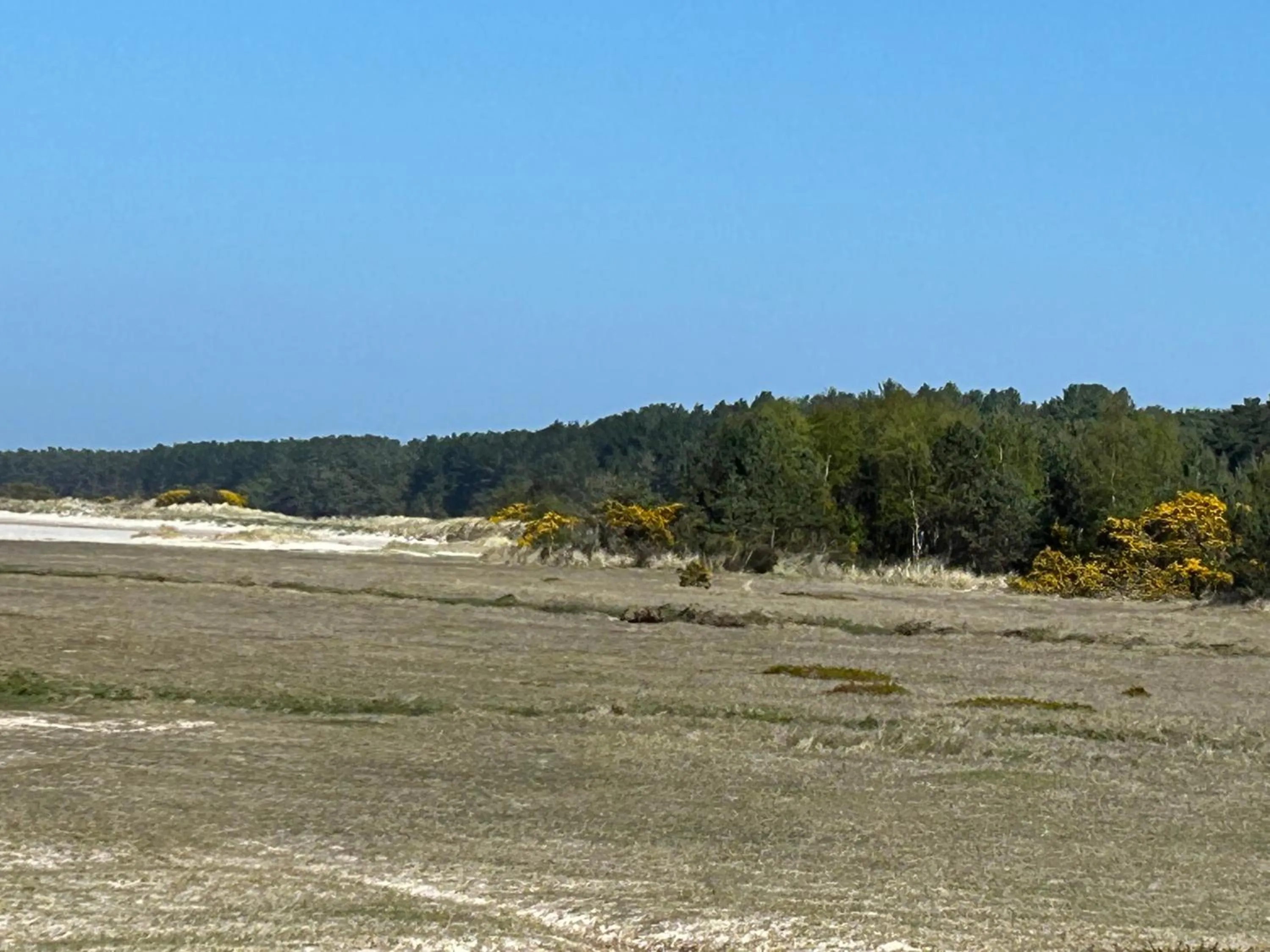 Natural landscape in Glen Lyon Lodge Bed and Breakfast