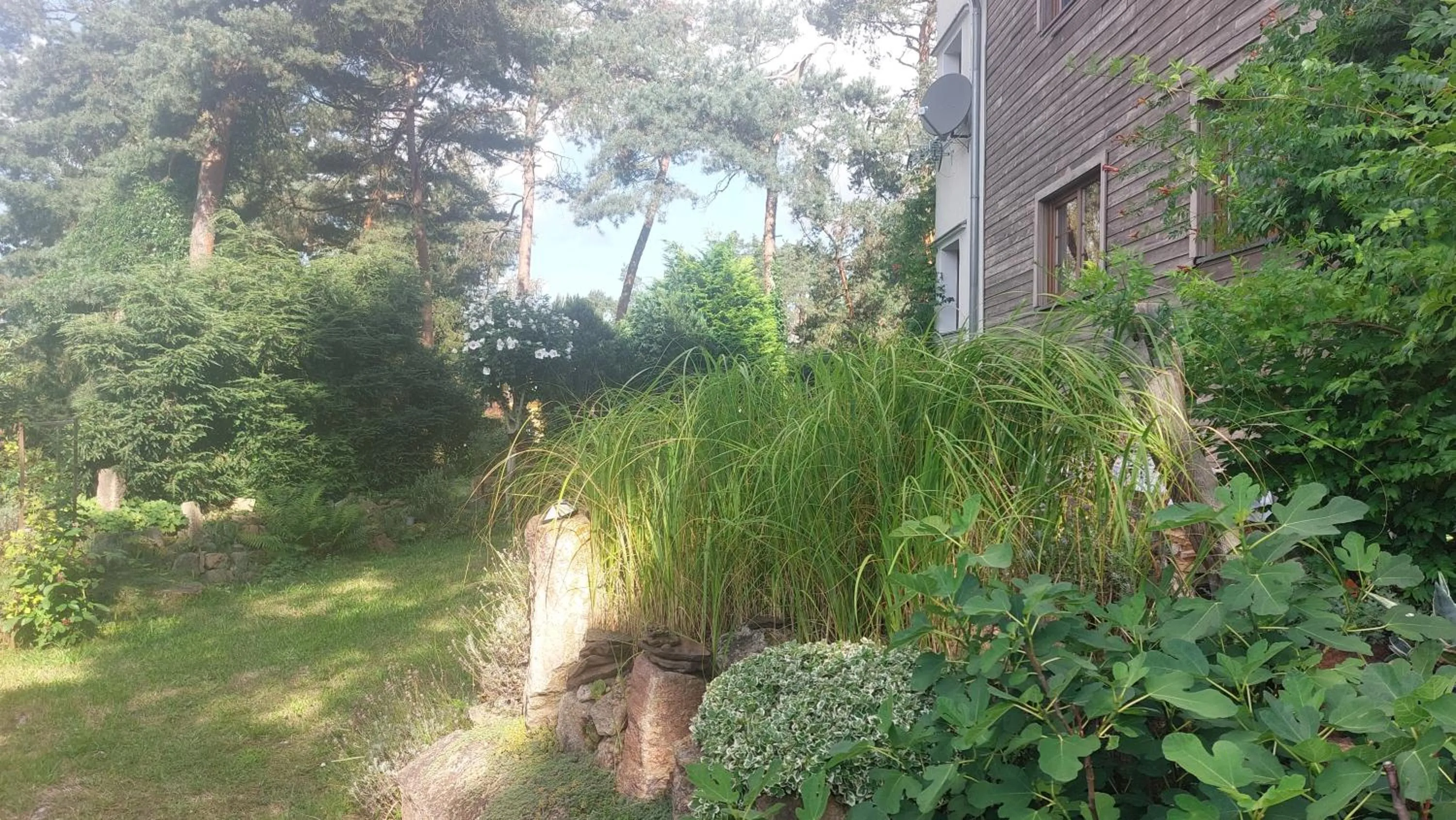 Summer in Apartmány FELSENBURG Staré Splavy