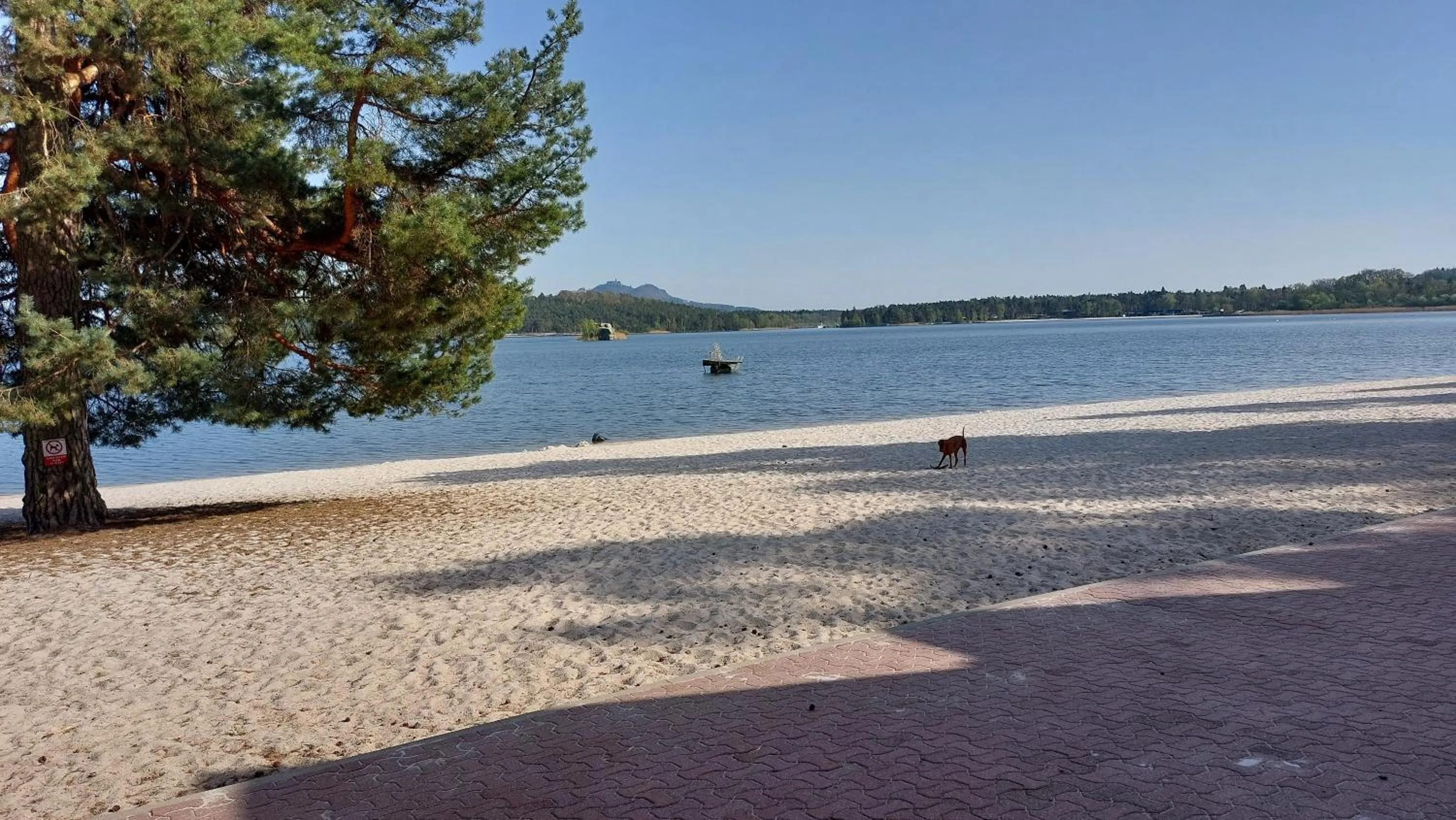 Natural landscape in Apartmány FELSENBURG Staré Splavy