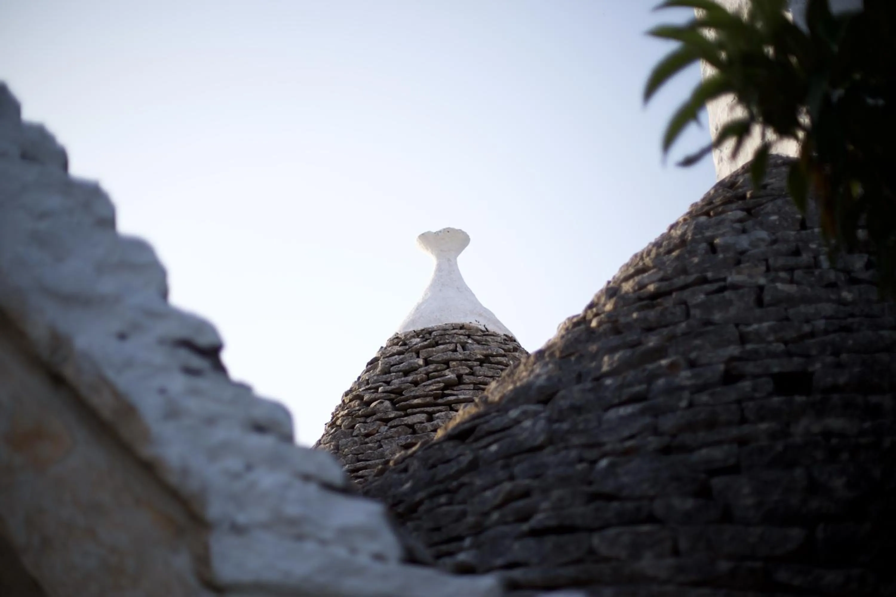 View (from property/room) in B&B Tenuta Ranieri