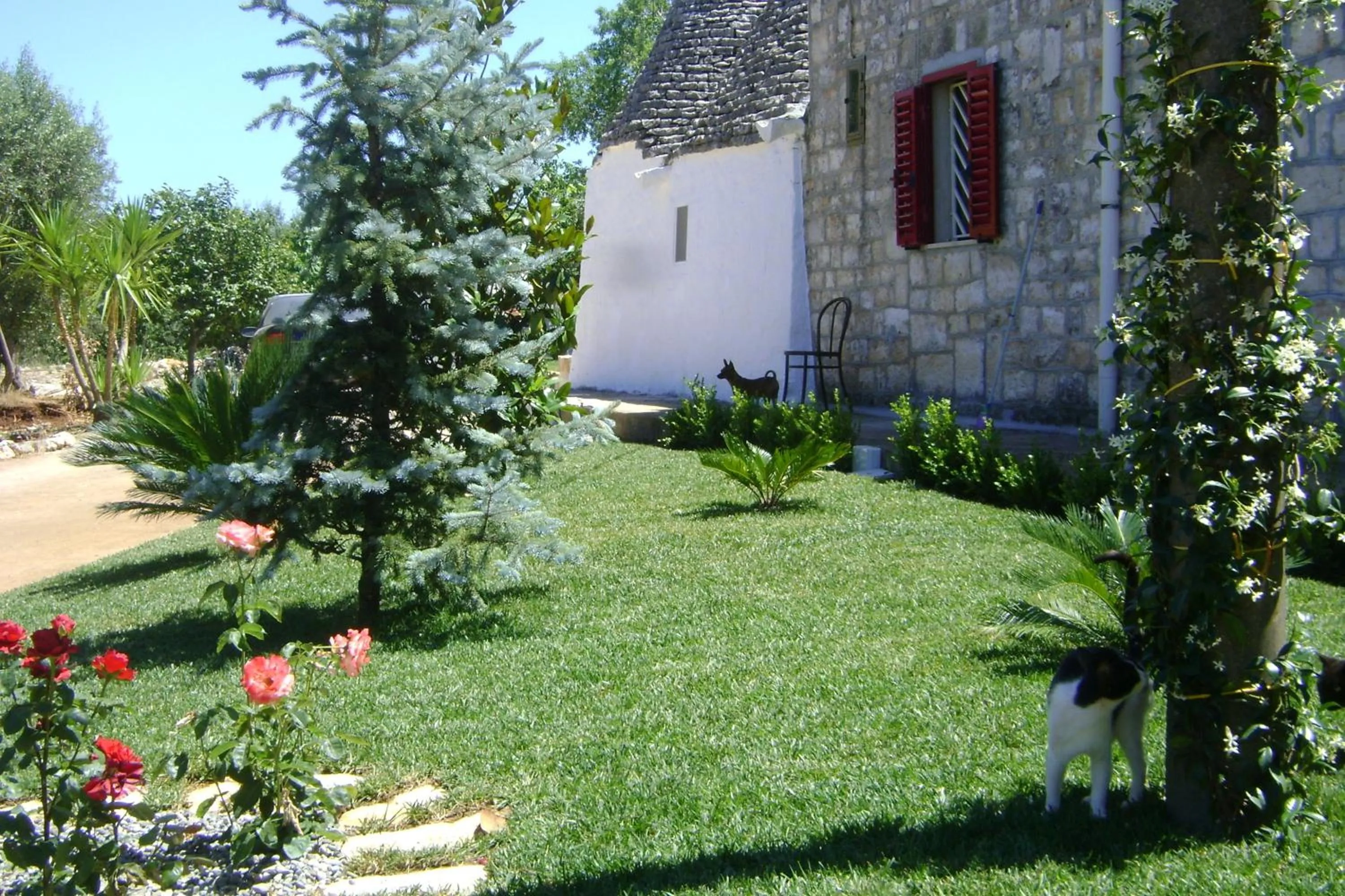 Garden in B&B Tenuta Ranieri