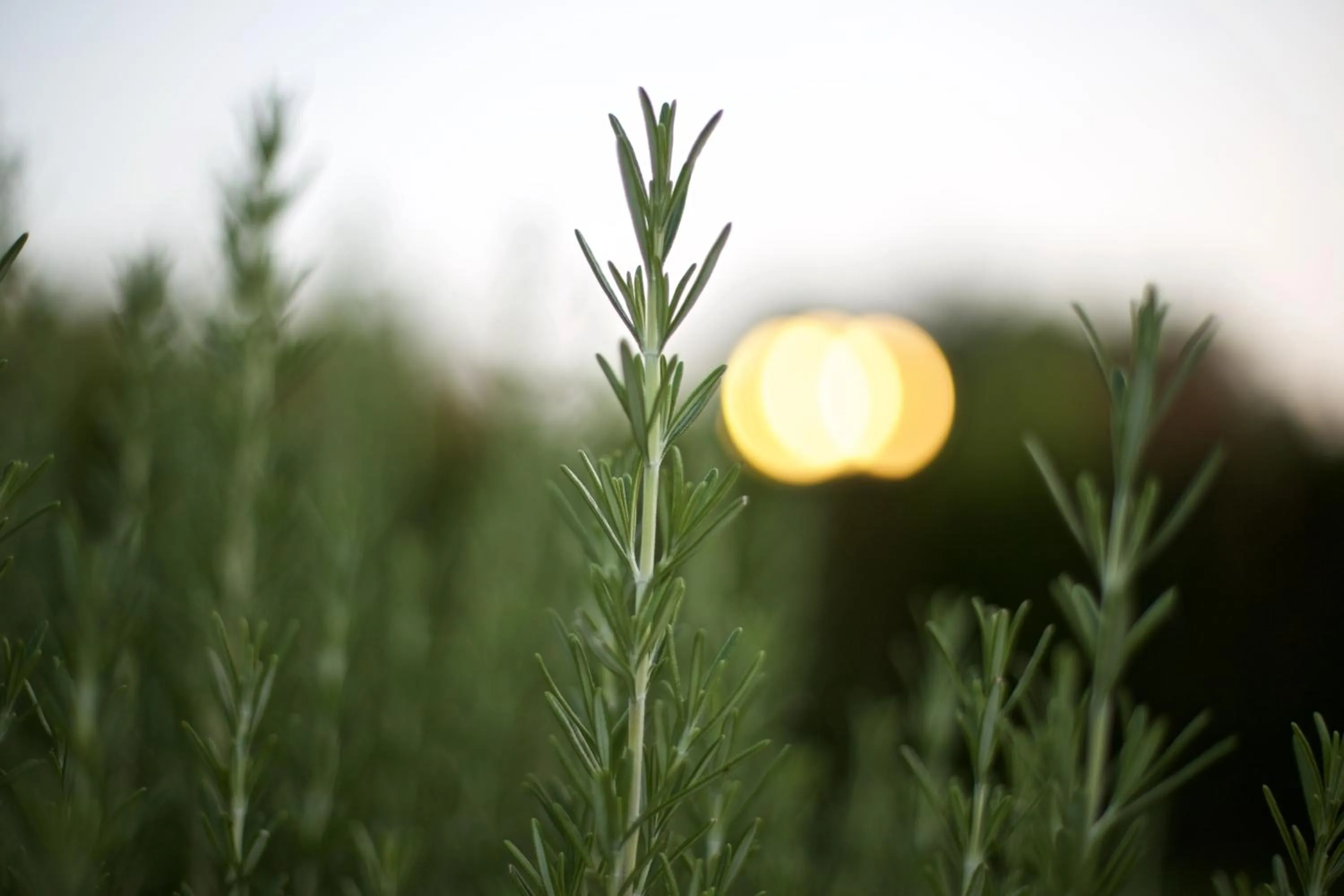 Time of day in B&B Tenuta Ranieri