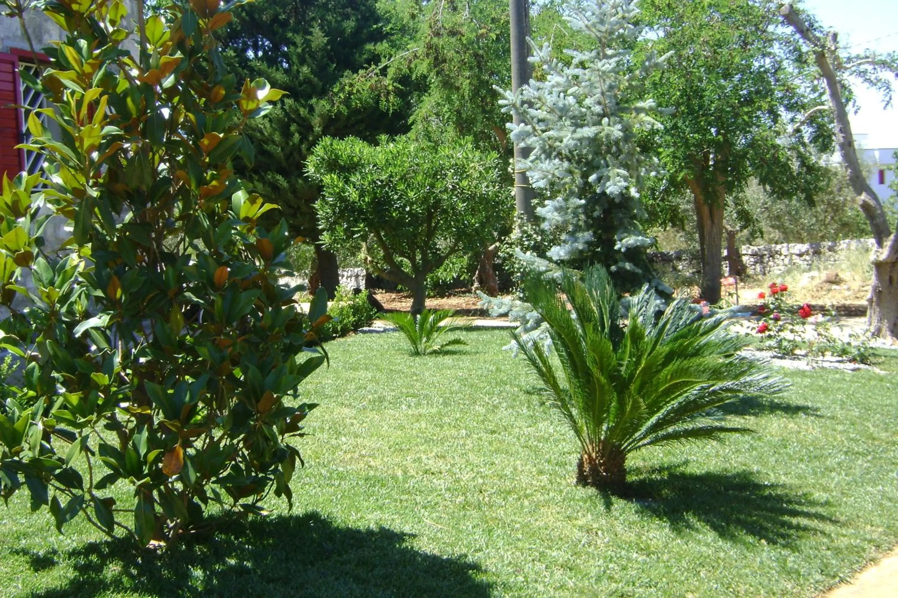 Garden in B&B Tenuta Ranieri