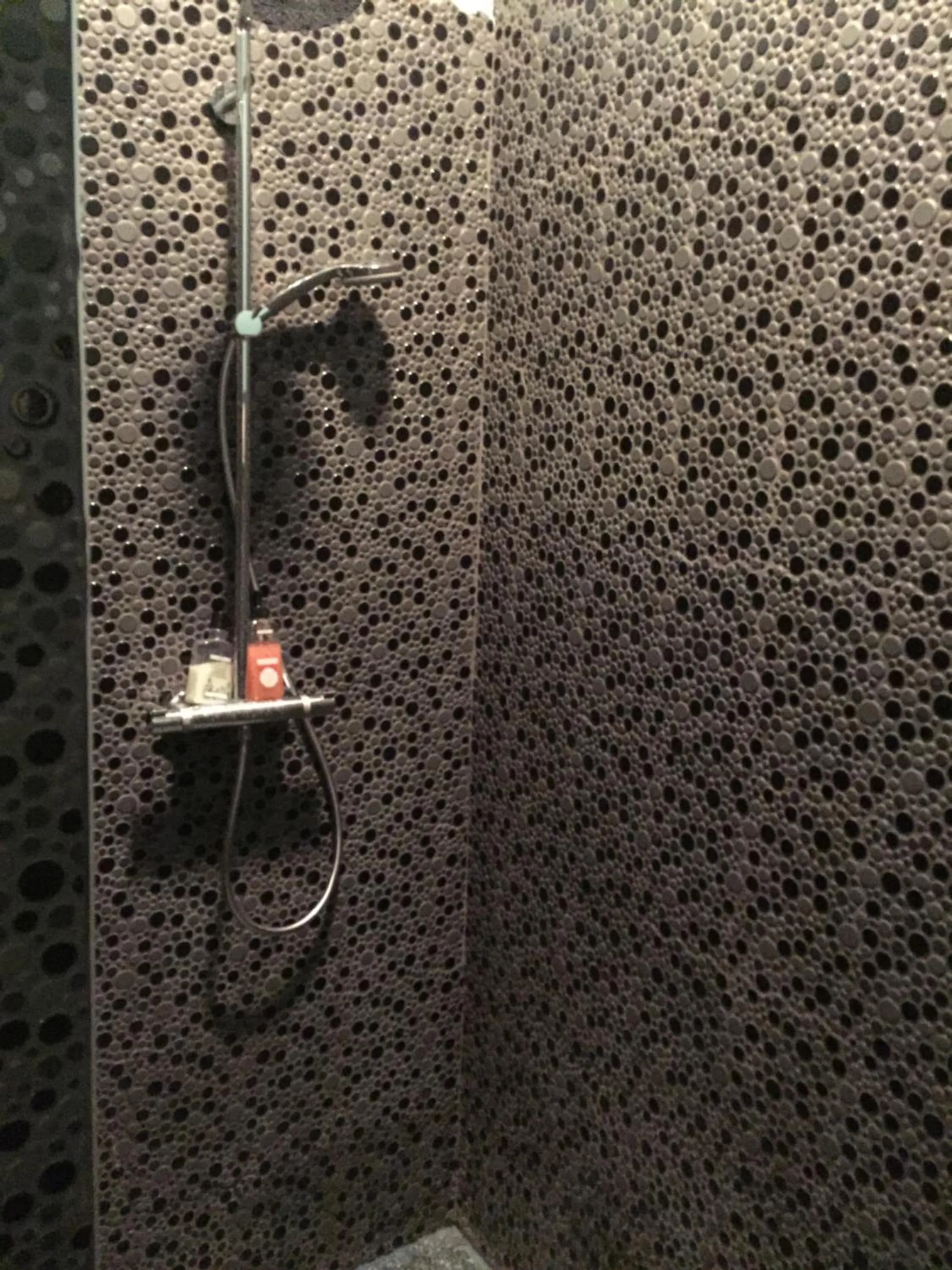 Shower in B&B AntiQua & Qook