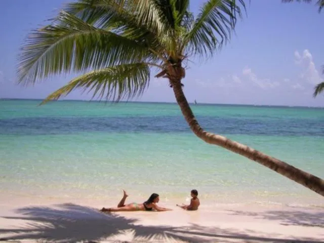 Beach in Appartamenti in Cadaques Caribe
