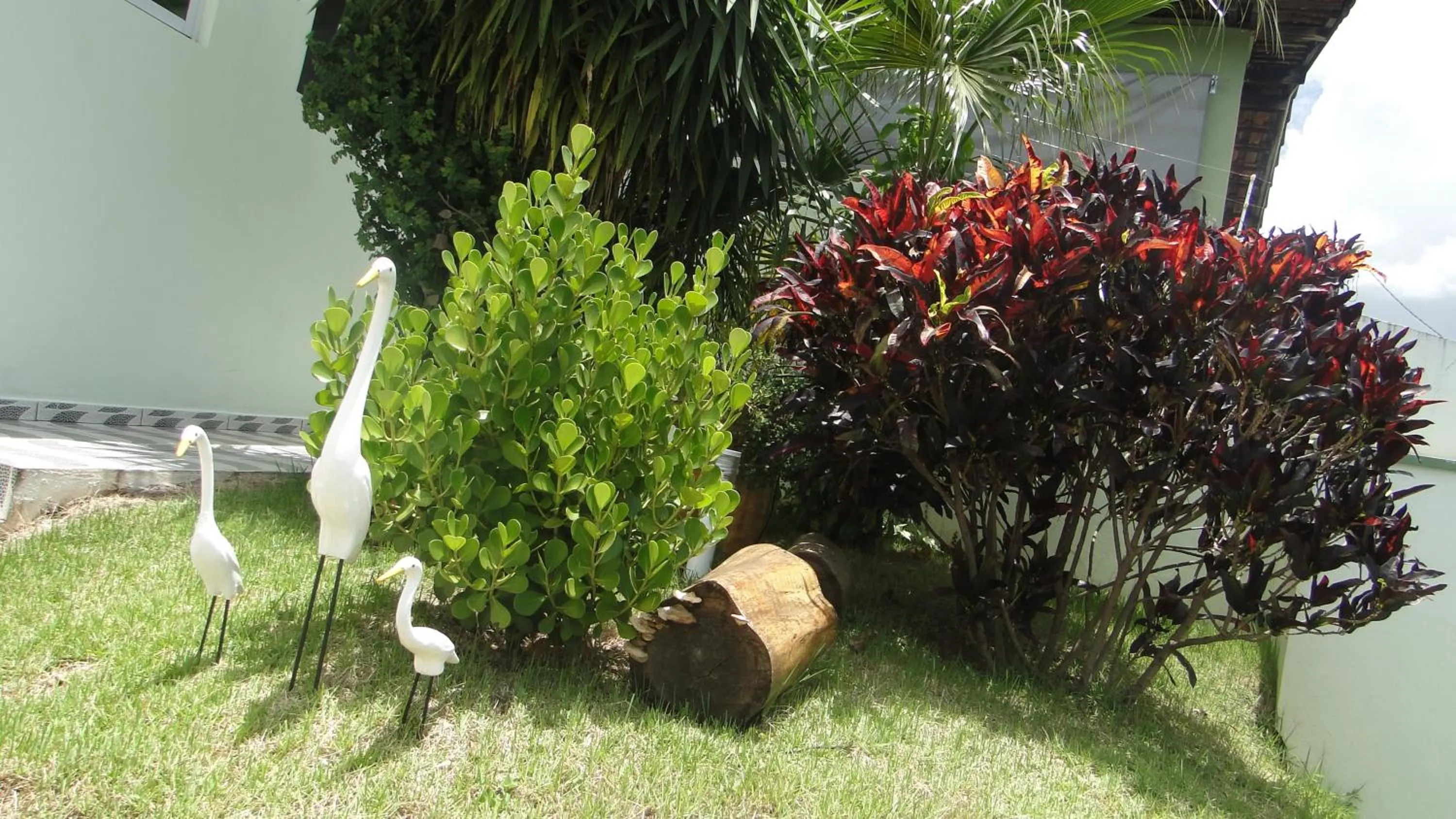 Garden in Pousada Tia Nena