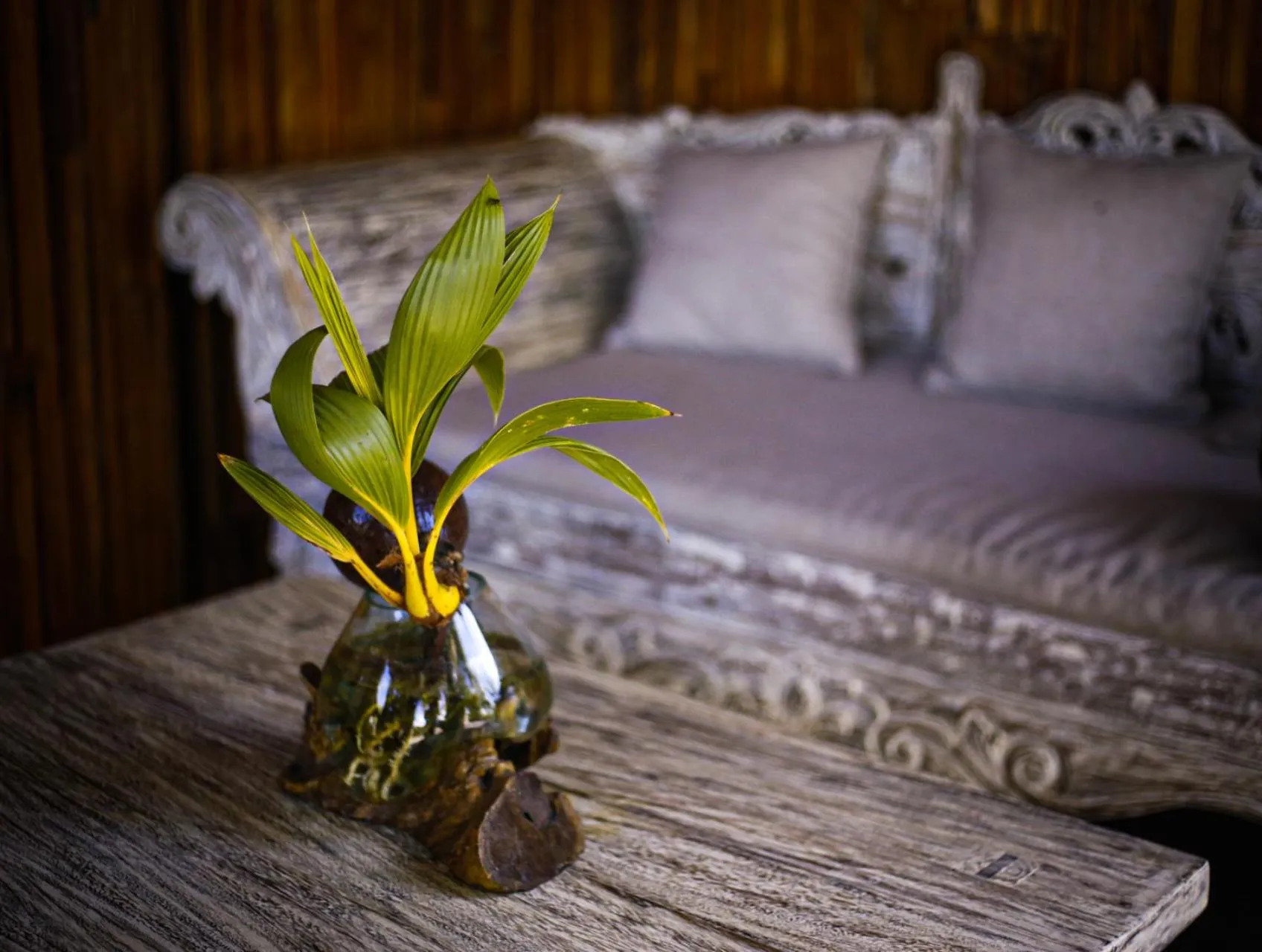 Lobby or reception, Bed in Angsoka Bungalow