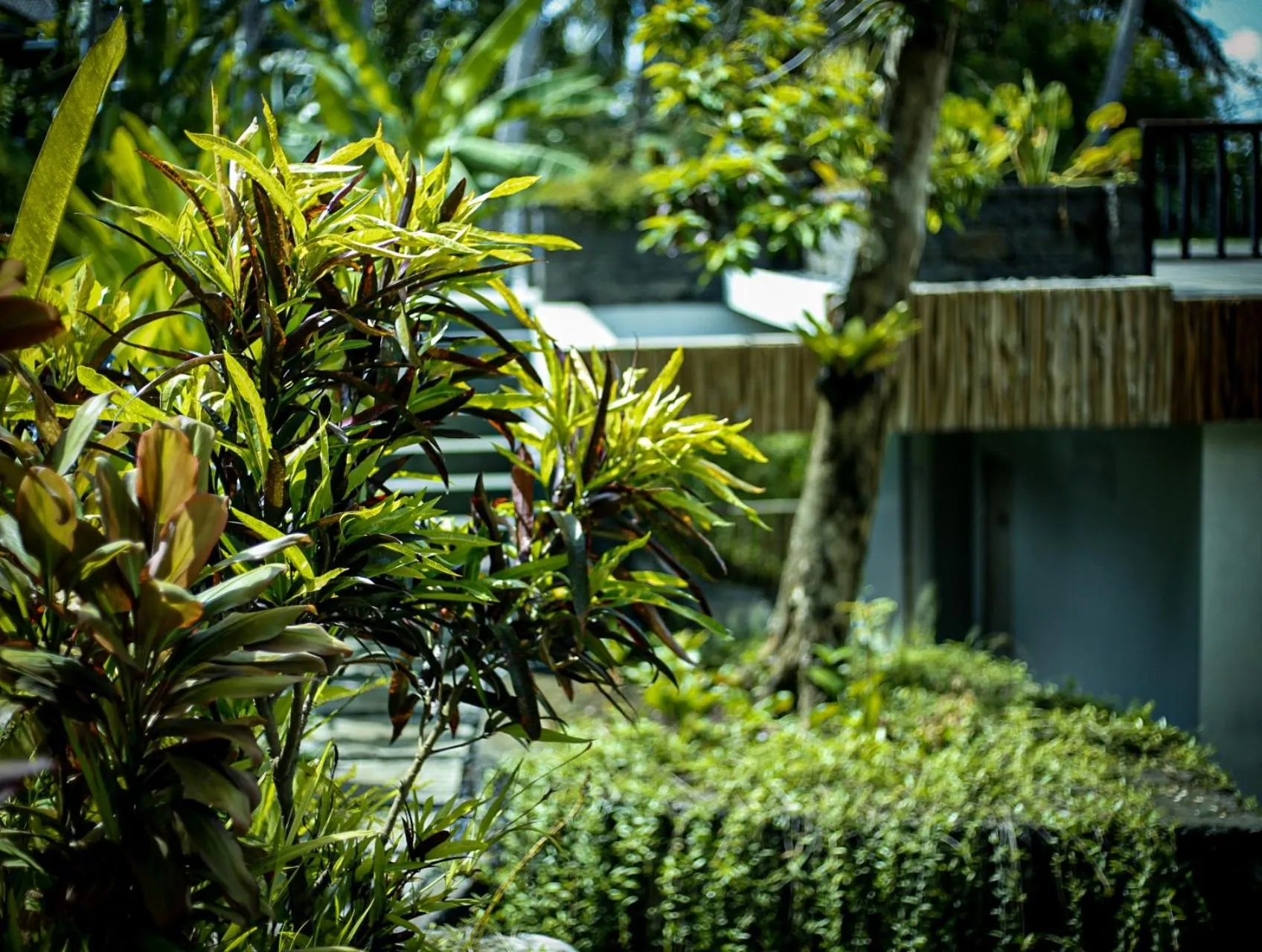 Garden in Angsoka Bungalow