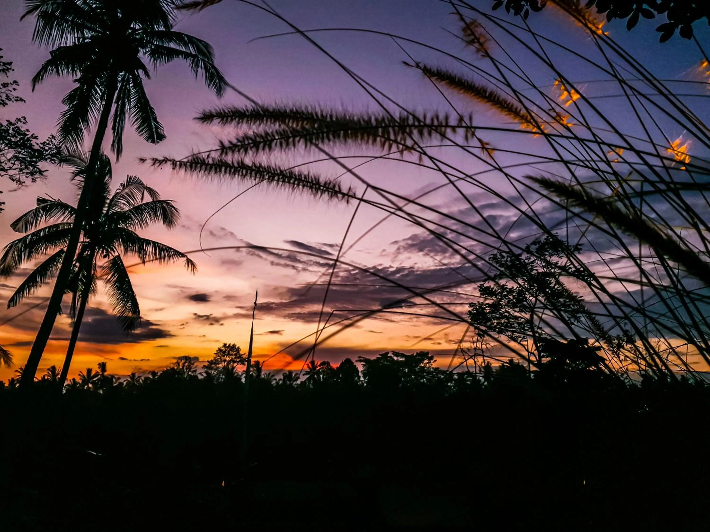 Natural landscape in Angsoka Bungalow