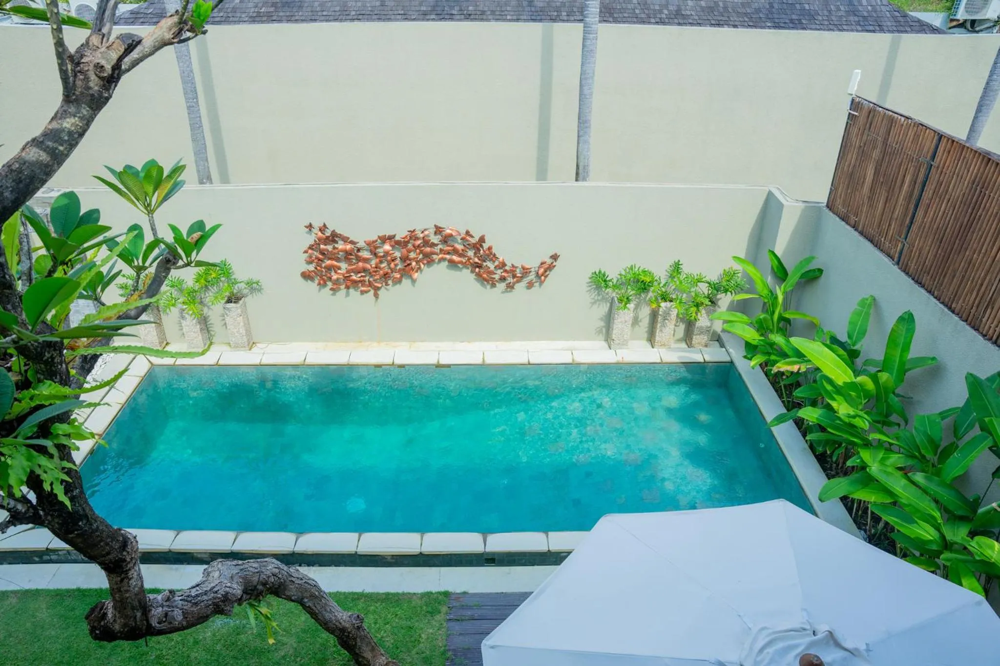 Swimming pool in The Kumpi Villas