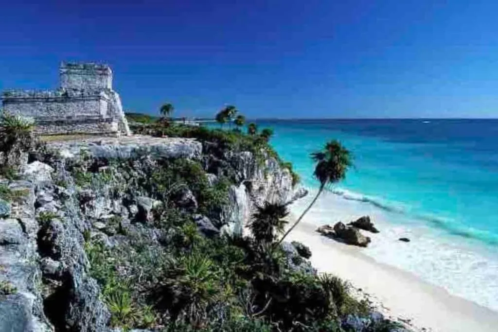 Luxury Apartment with M Benz and & Driver Included