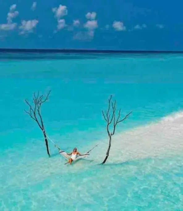 Luxury Apartment with M Benz and & Driver Included