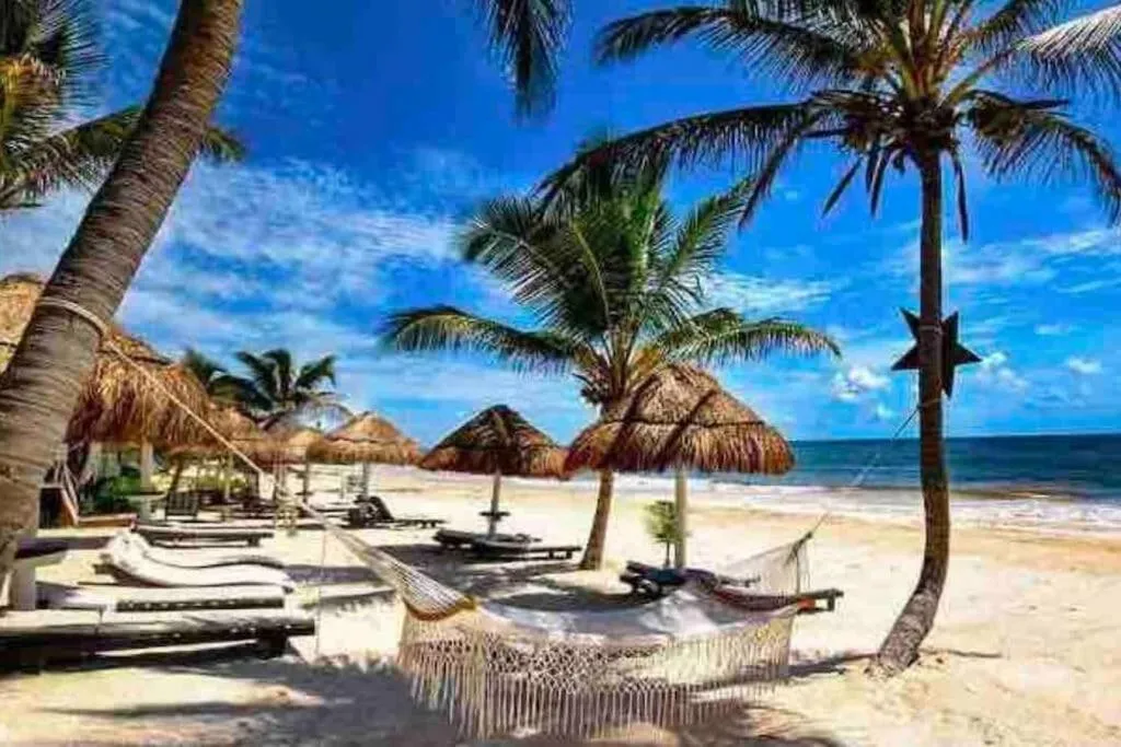 Luxury Apartment with M Benz and & Driver Included