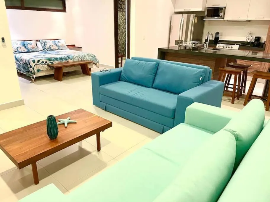 Luxury Apartment with M Benz and & Driver Included