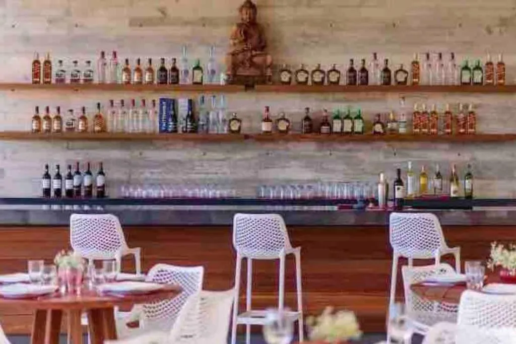 Luxury Apartment with M Benz and & Driver Included