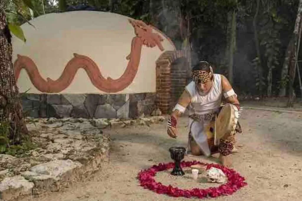 Luxury Apartment with M Benz and & Driver Included