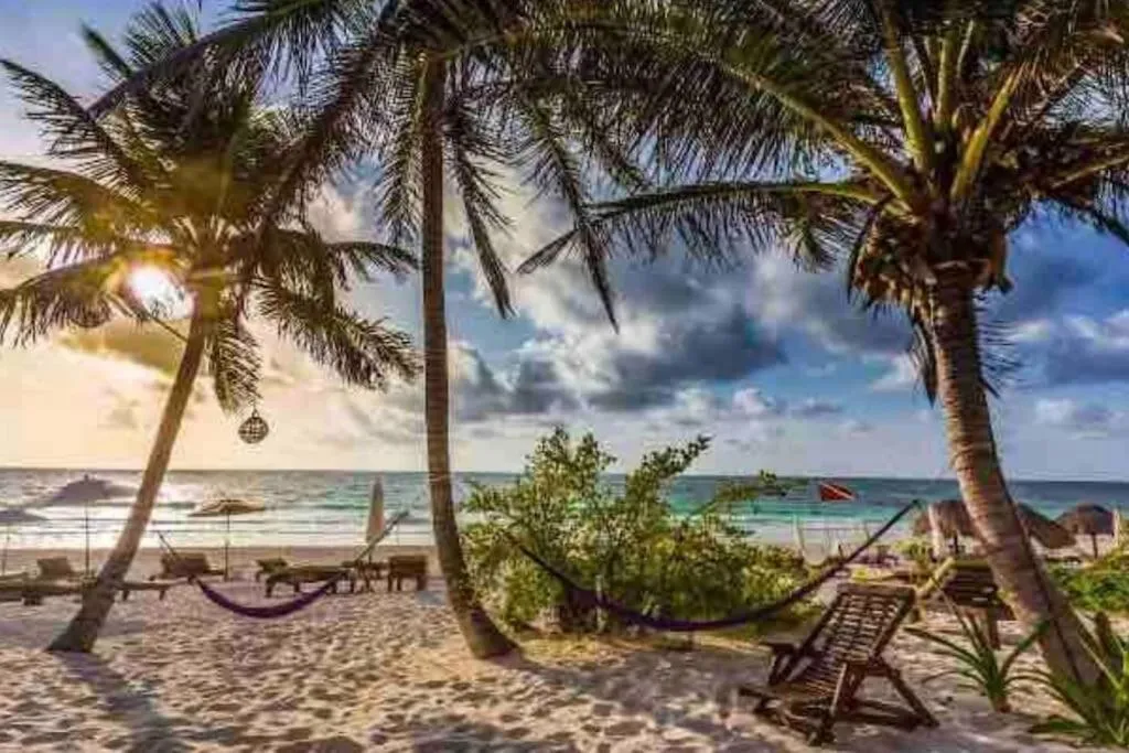 Luxury Apartment with M Benz and & Driver Included